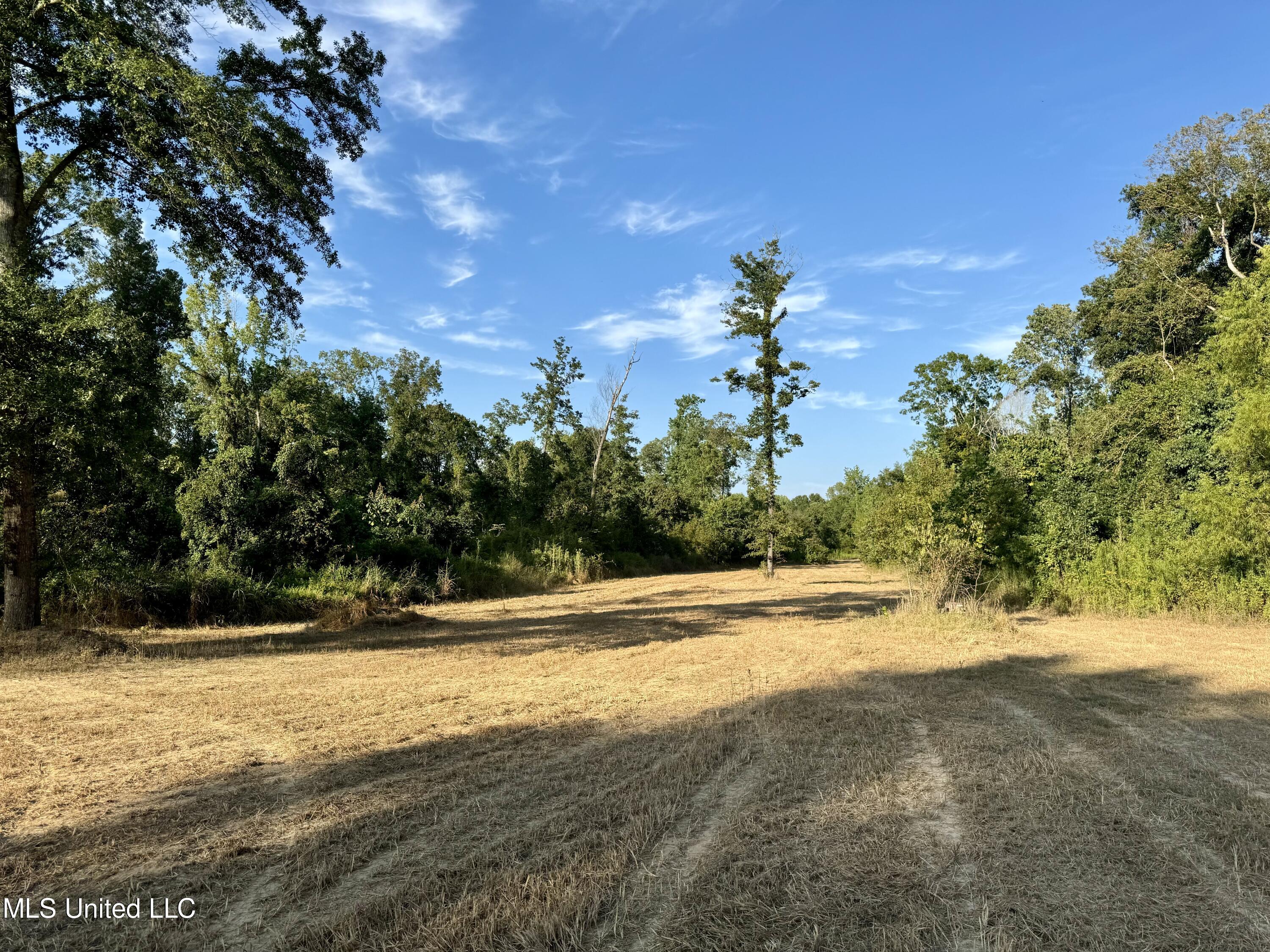 Highway 49, Yazoo City, Mississippi image 47