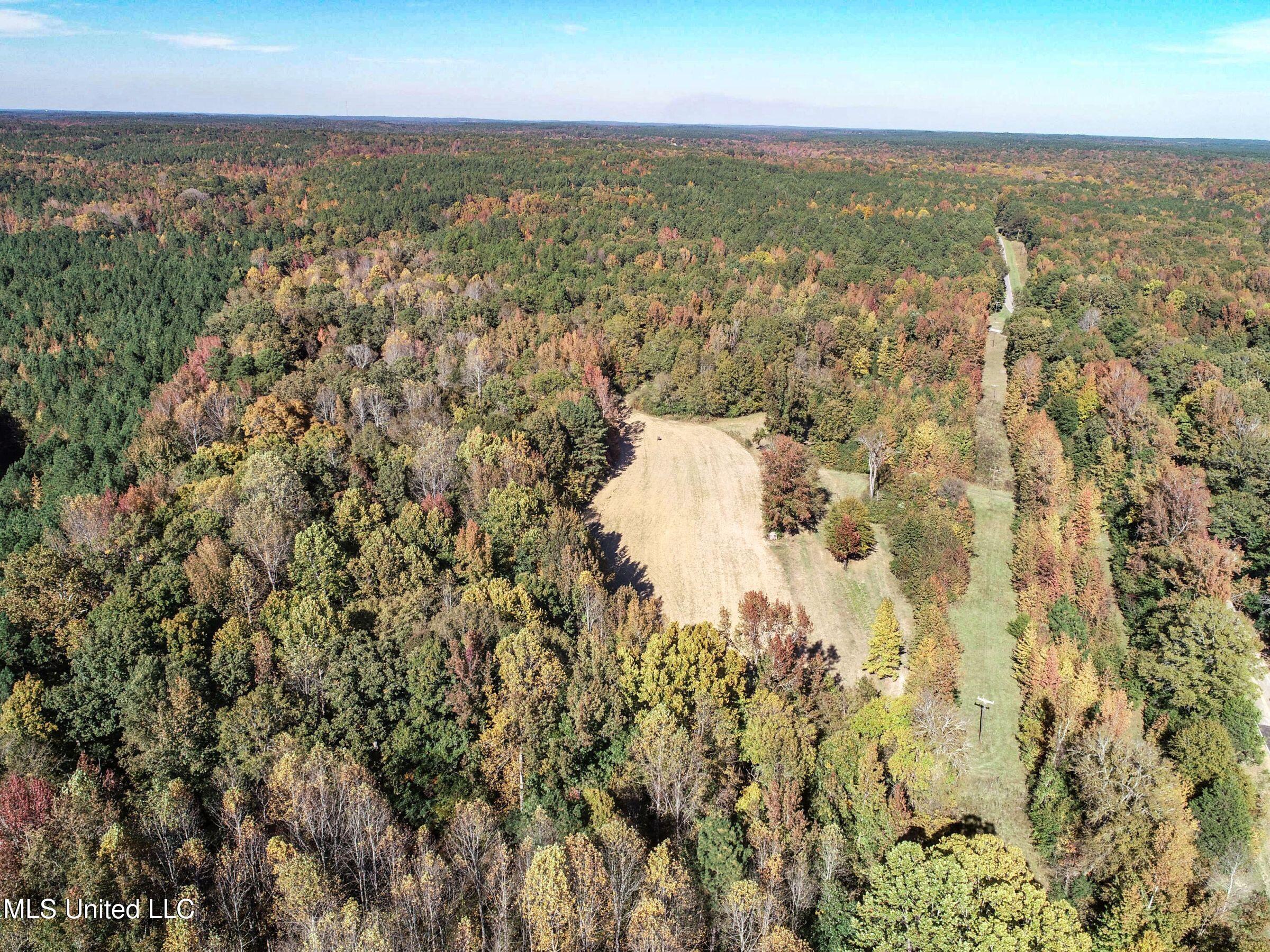 Cr 212 Old Water Valley Rd, Water Valley, Mississippi image 39