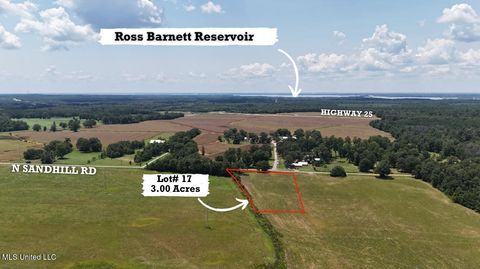 Vacant Land For Sale - 001 N Sandhill Road<br/> Lena, MS 39094