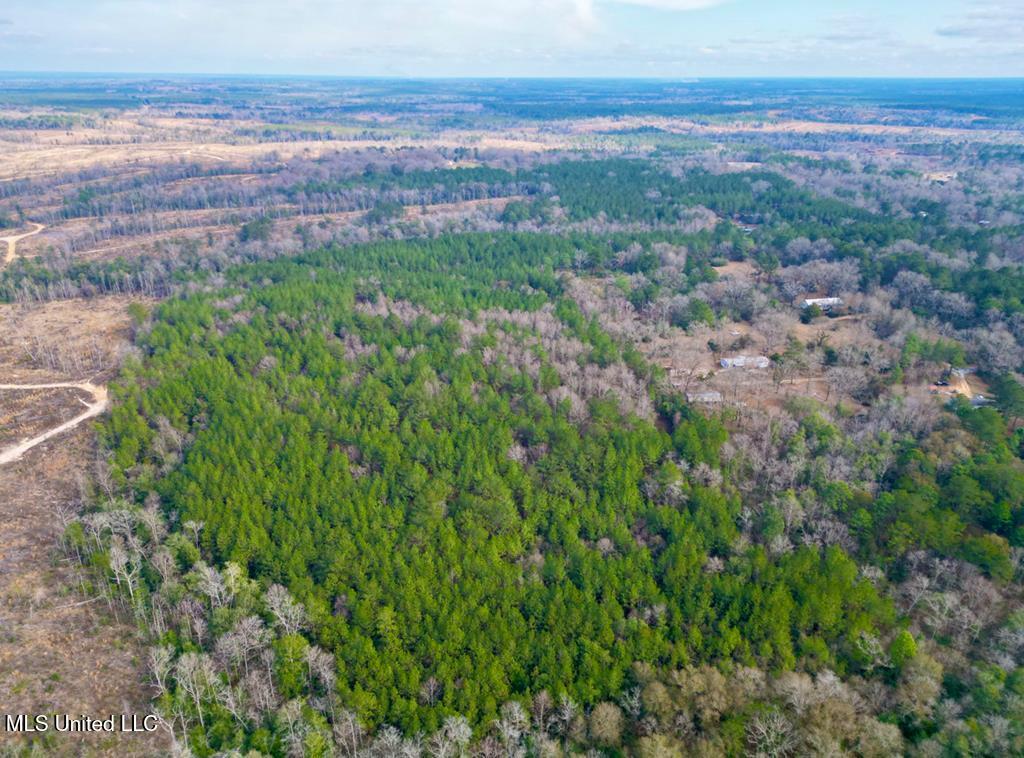 Nelson Road, Poplarville, Mississippi image 9