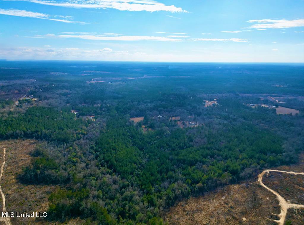 Nelson Road, Poplarville, Mississippi image 11