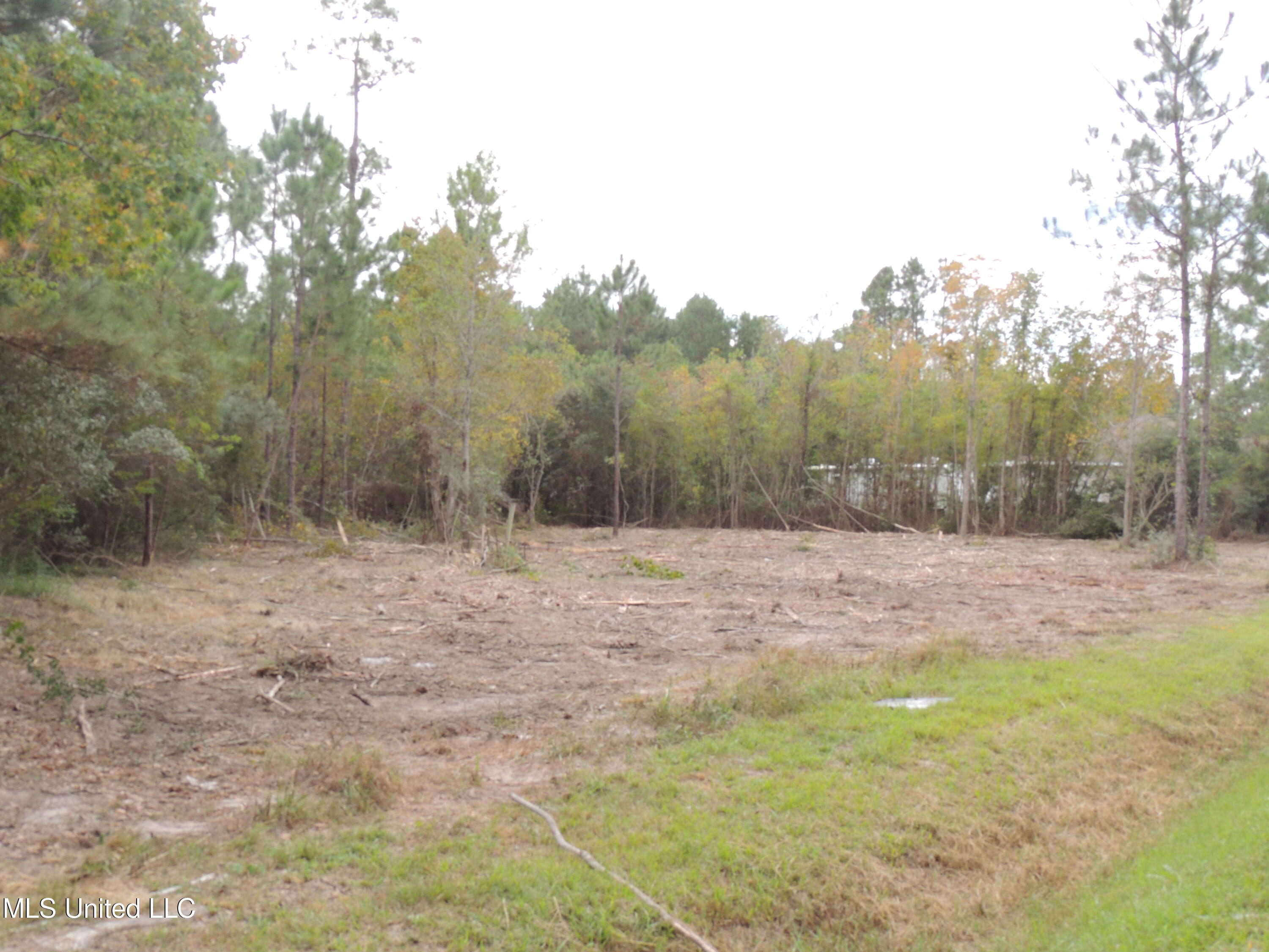 Chapman Road, Bay Saint Louis, Mississippi image 8