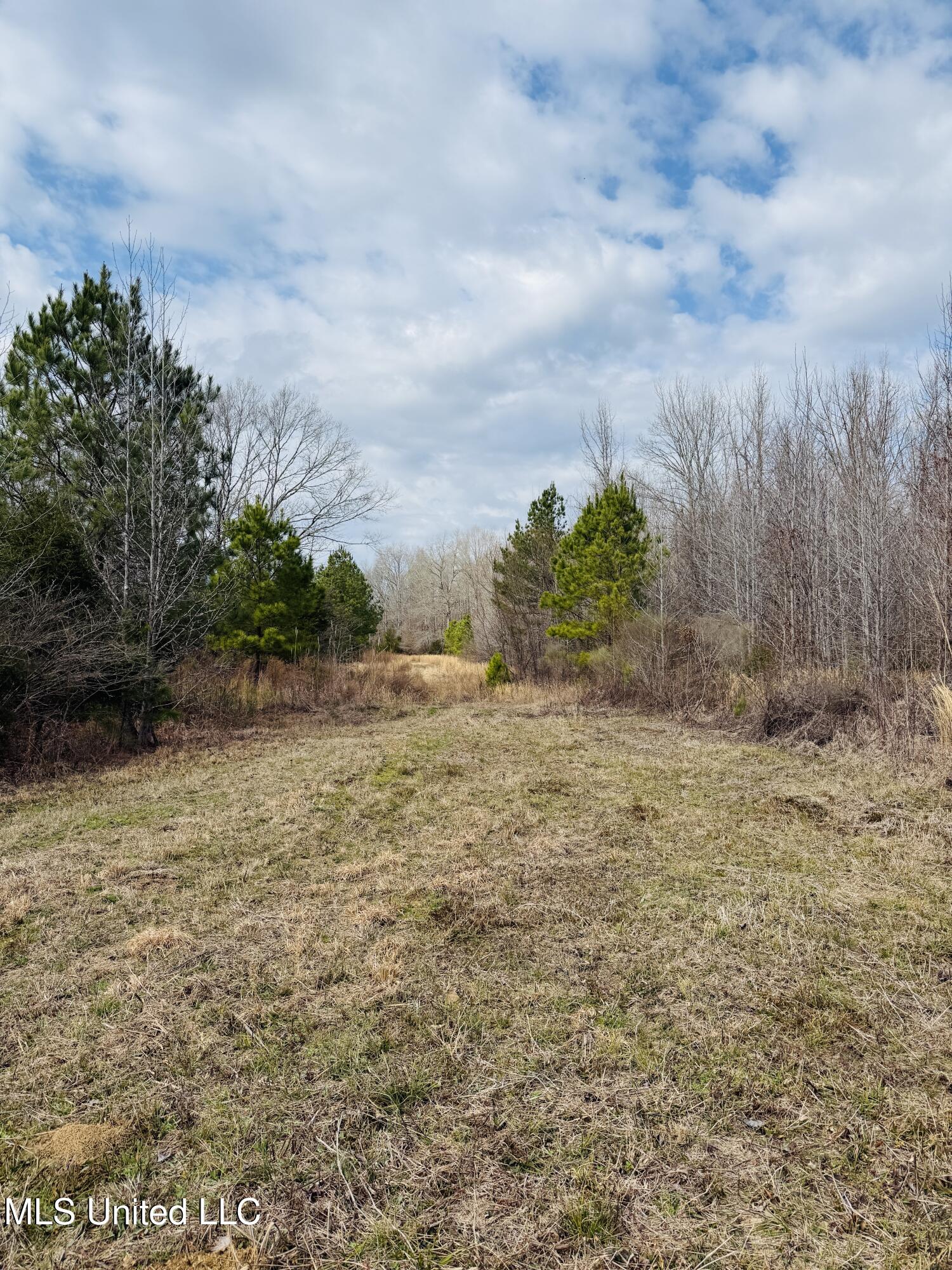 Race Track Road, West, Mississippi image 10