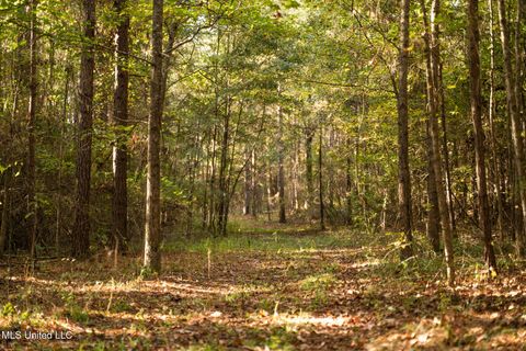 Vacant Land For Sale - Lake View Golf Course Road<br/> Lauderdale County, Meridian, MS 39301