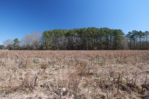 Vacant Land For Sale - 02 E Main Street<br/> Leake County, Carthage, MS 39051