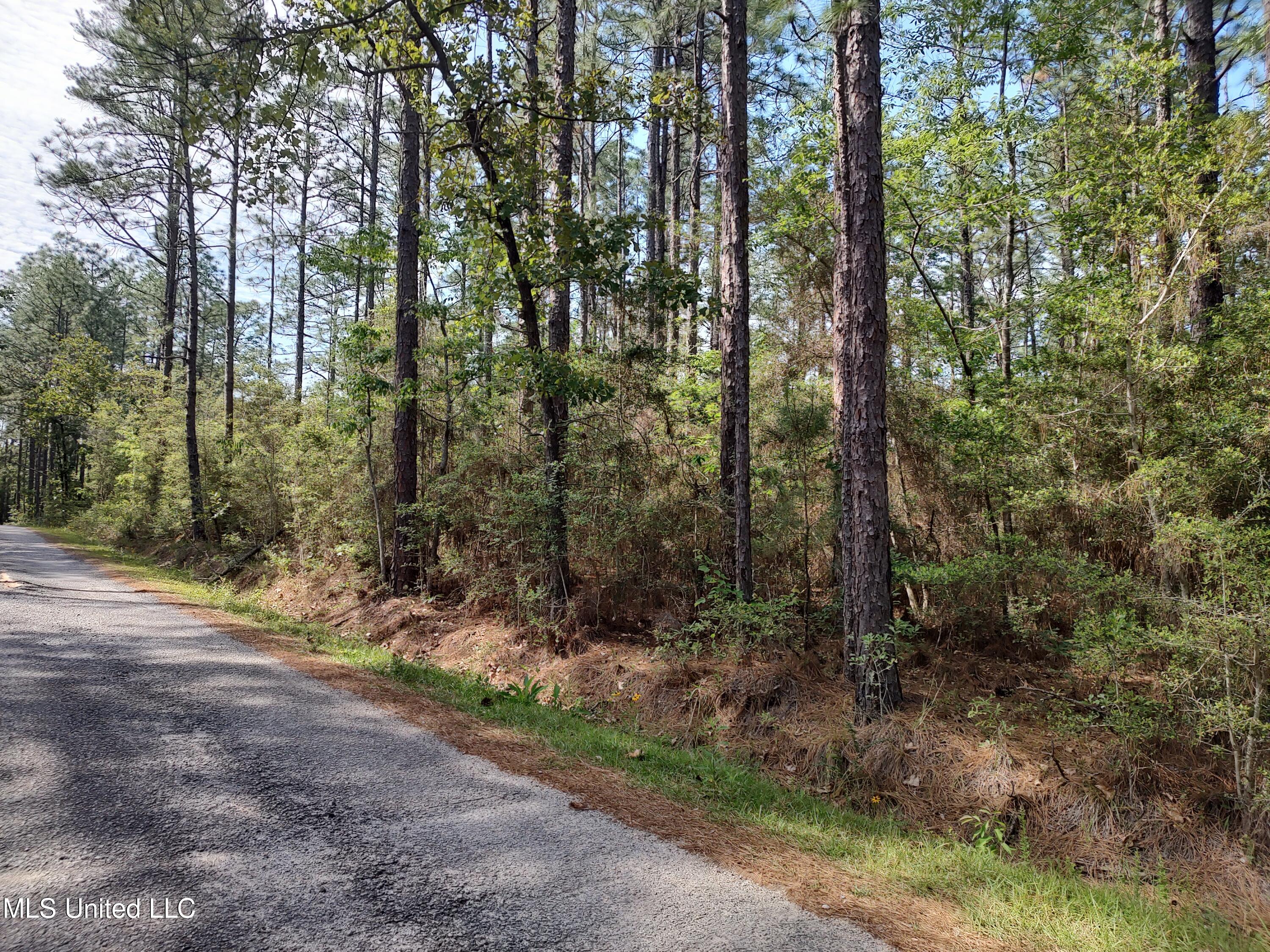 No Magnolia Lane Lane, Poplarville, Mississippi image 1
