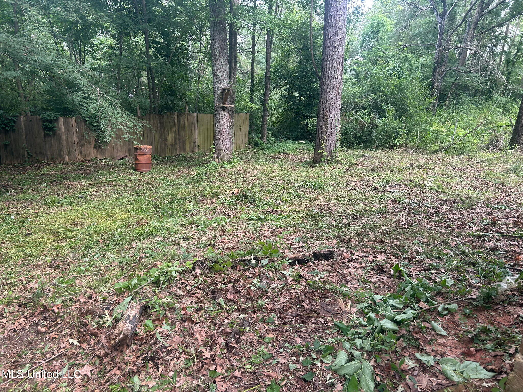 2806 Tara Road, Jackson, Mississippi image 34