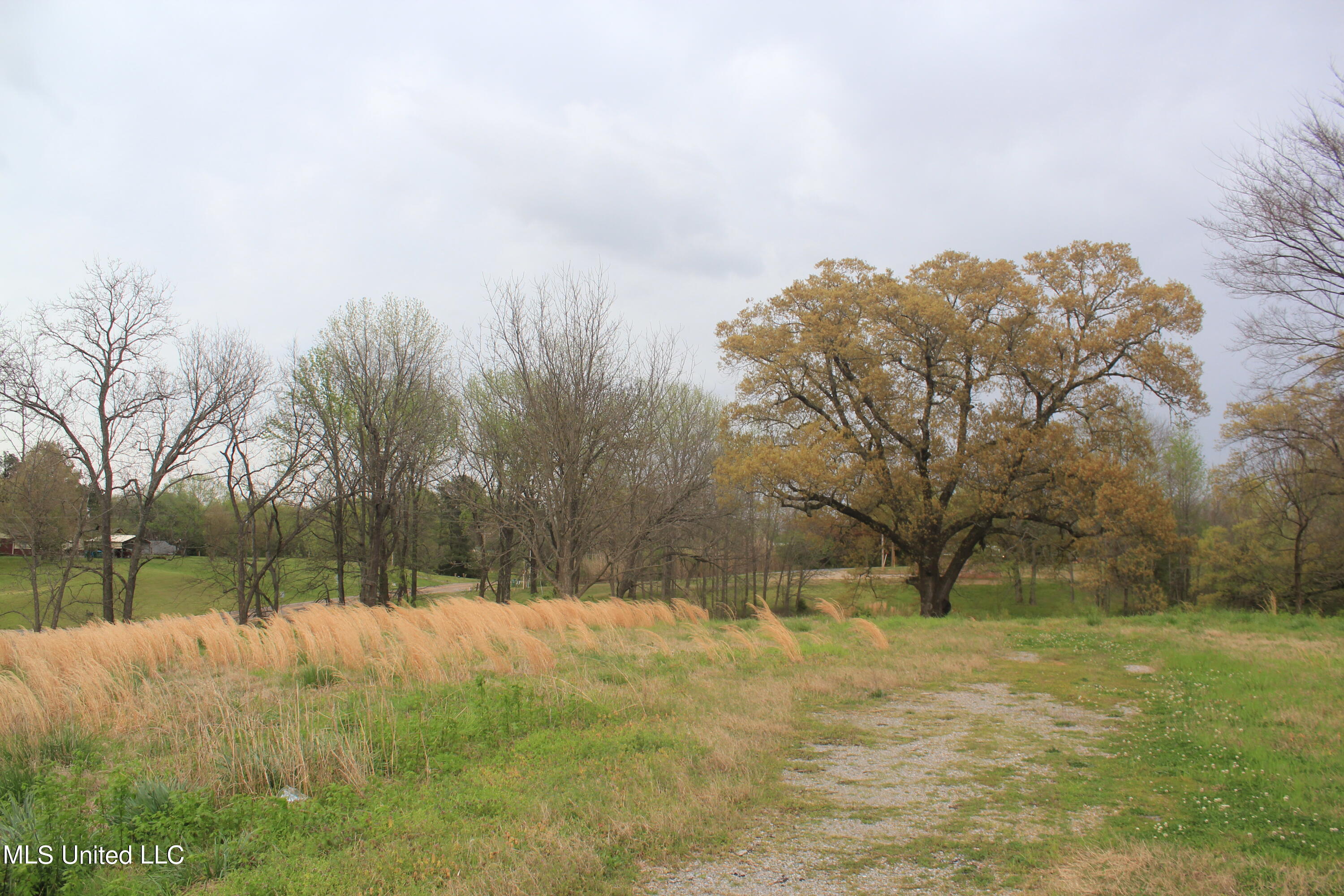 2980 Fogg Road, Nesbit, Mississippi image 7