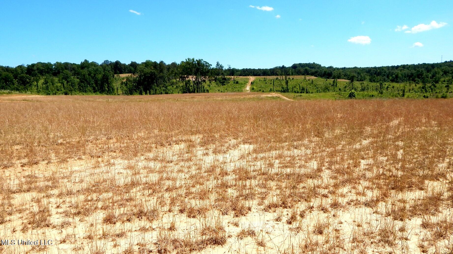 210 Hugh White State Park Road, Grenada, Mississippi image 1