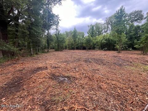 Vacant Land For Sale - Ms-18<br/> Raymond, MS 39154