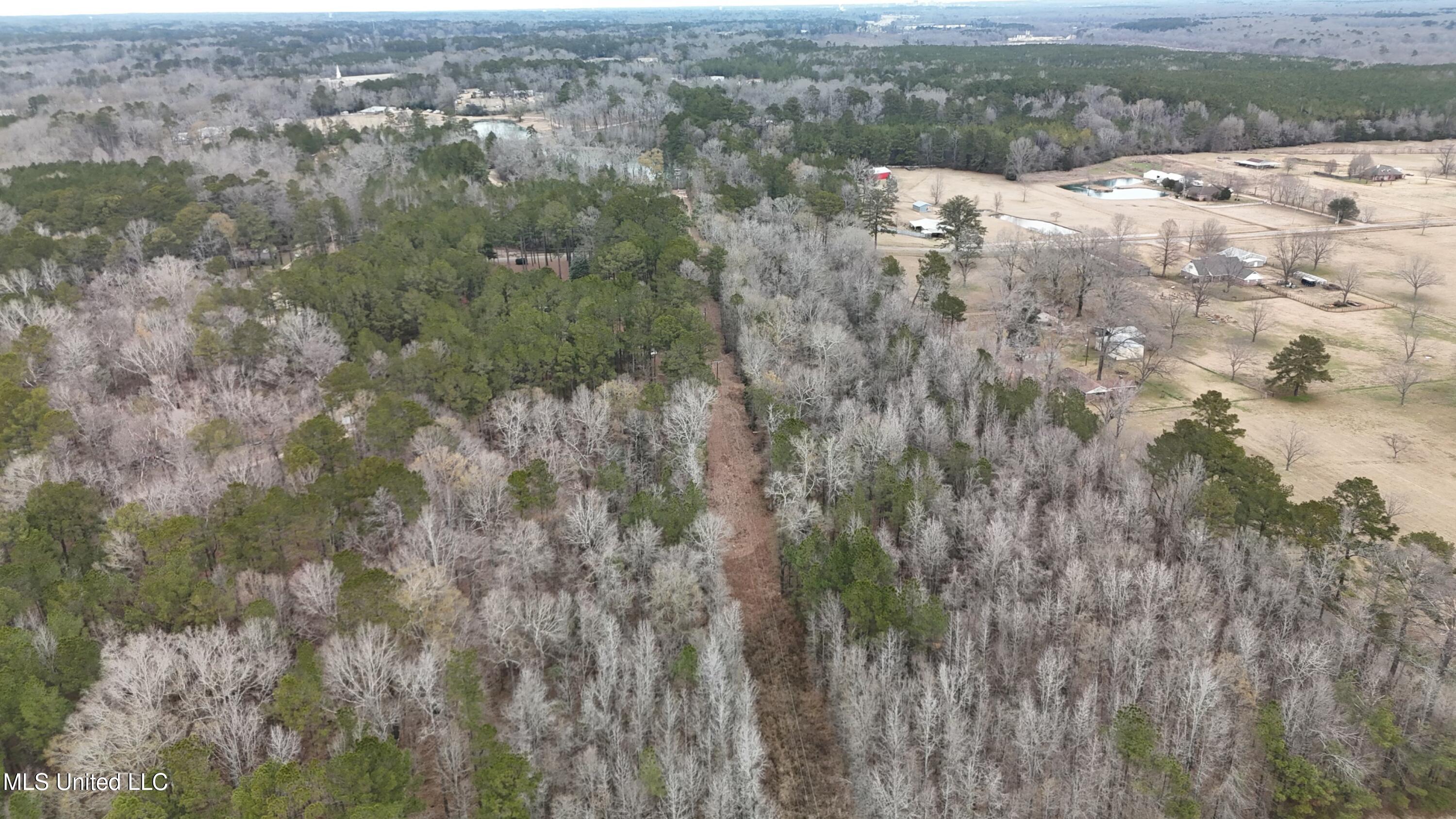 Old Byram Rd, Byram, Mississippi image 7