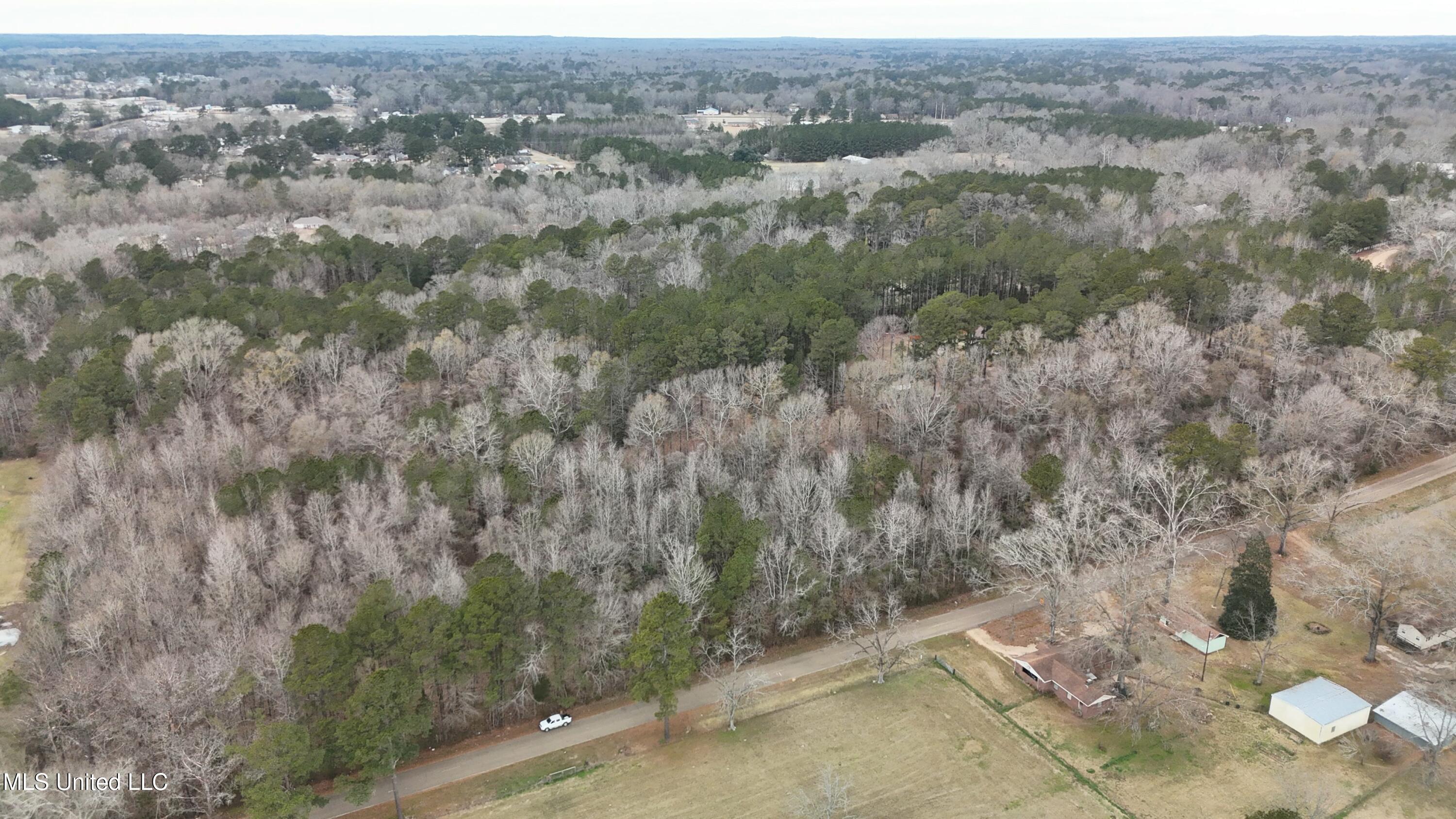 Old Byram Rd, Byram, Mississippi image 3