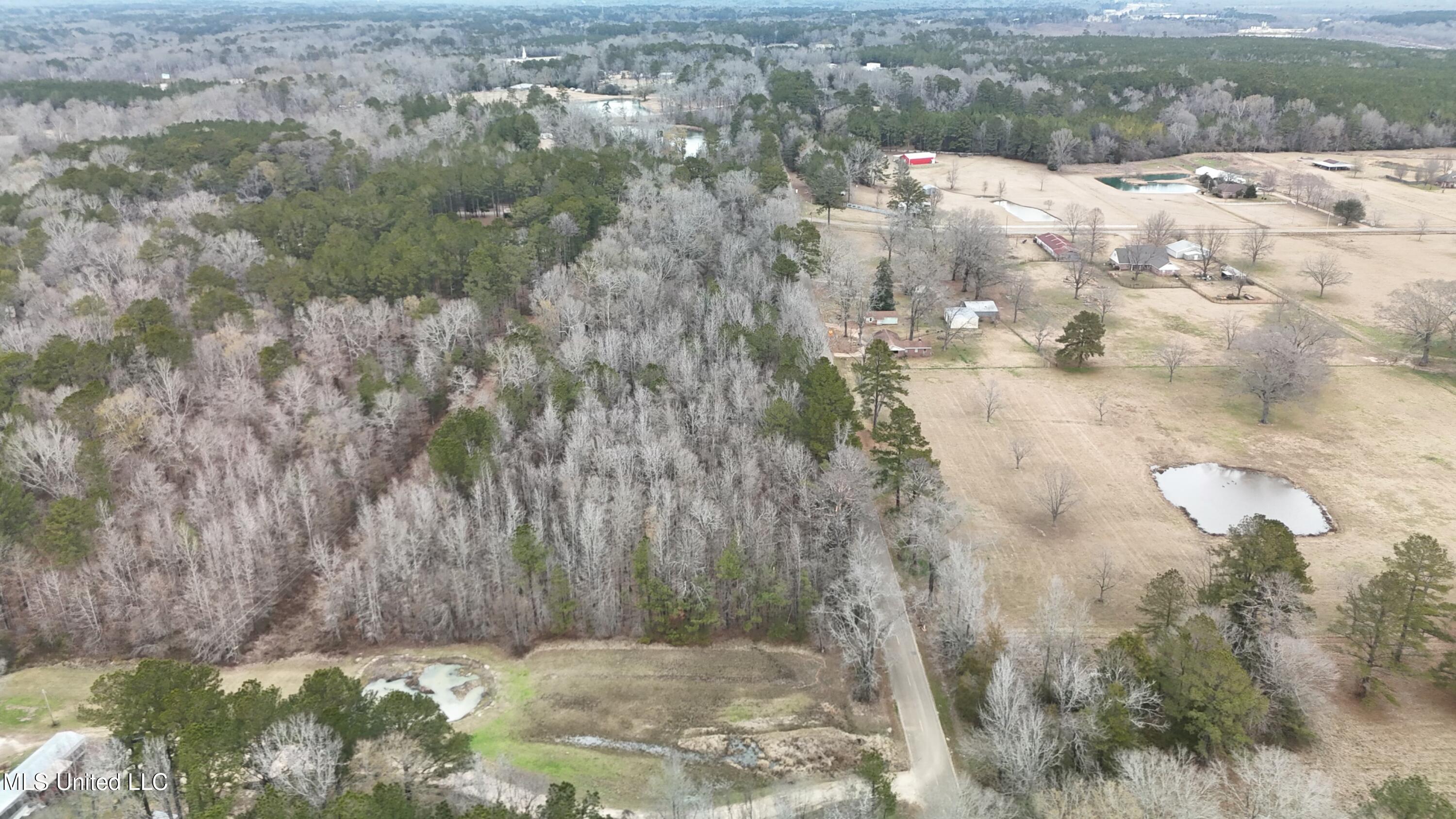 Old Byram Rd, Byram, Mississippi image 5