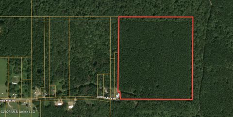 Vacant Land For Sale - Alfred Agee Road<br/> Scott County, Morton, MS 39117