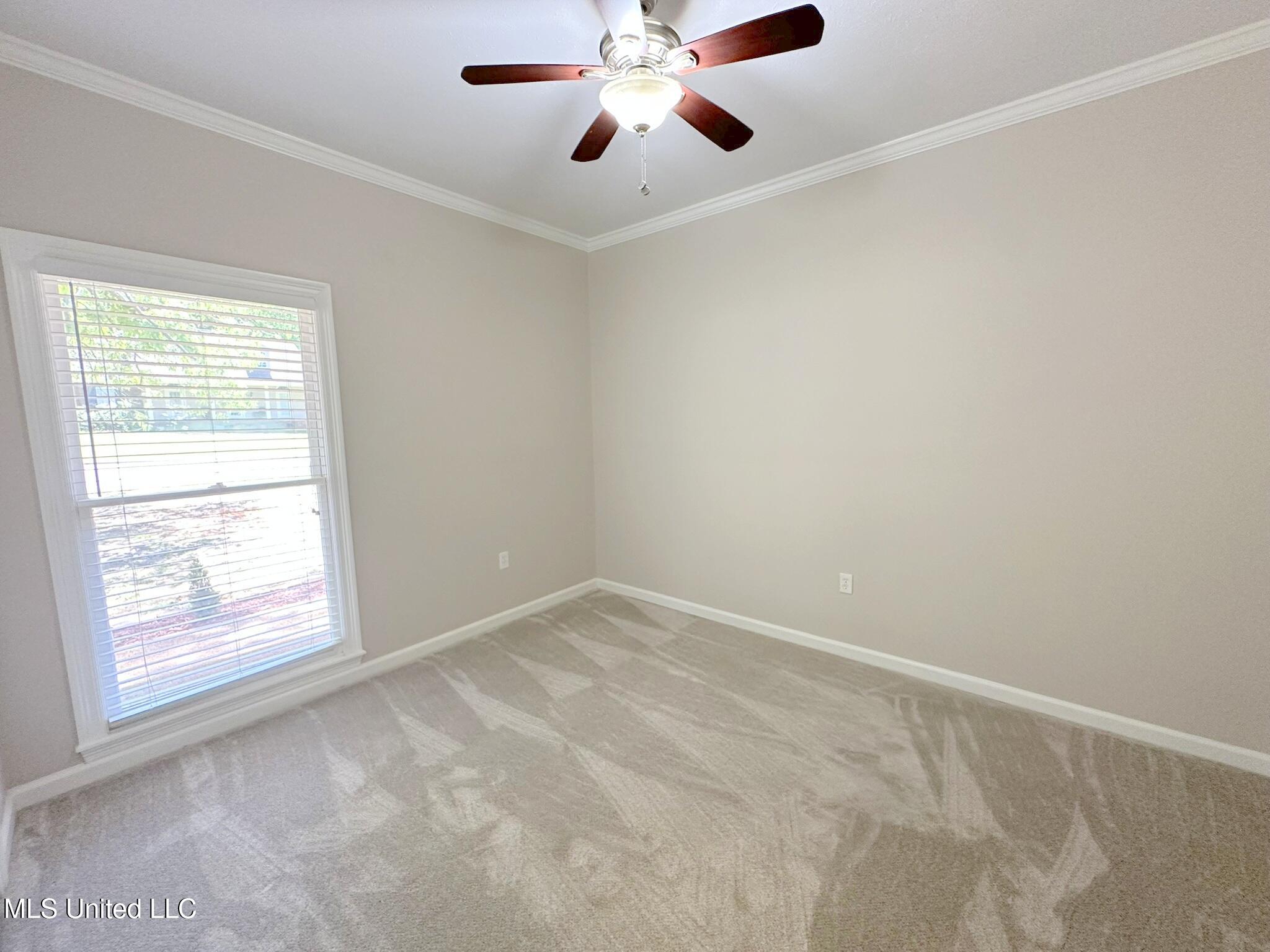 207 Aspen Court, Ridgeland, Mississippi image 30