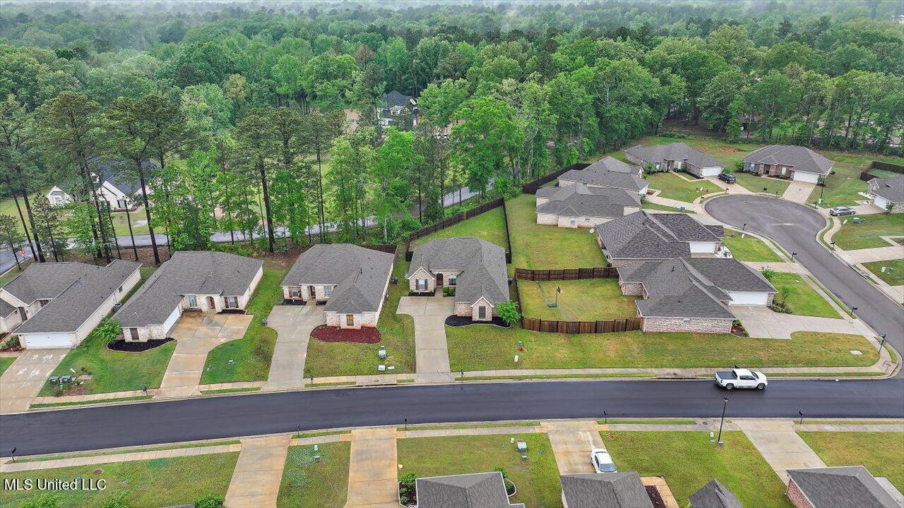 467 Silver Hill, Pearl, Mississippi image 39