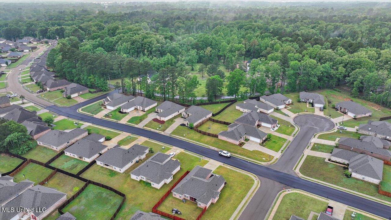 467 Silver Hill, Pearl, Mississippi image 41