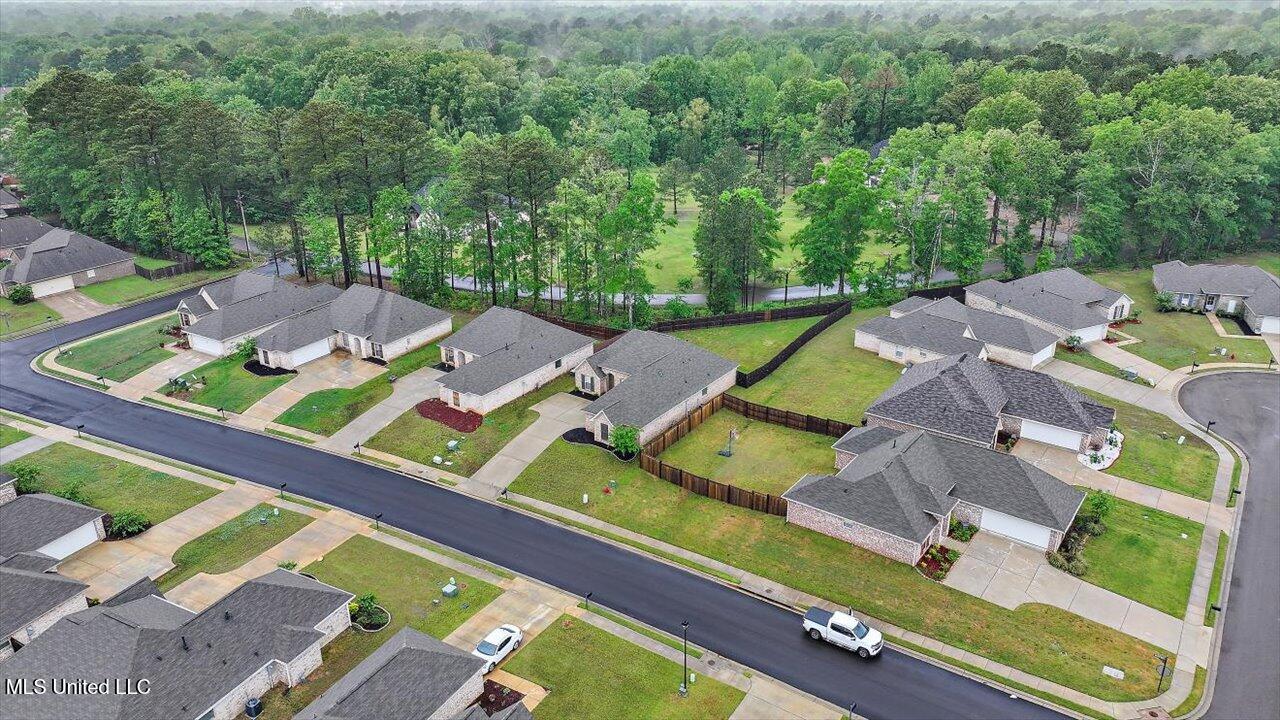467 Silver Hill, Pearl, Mississippi image 40