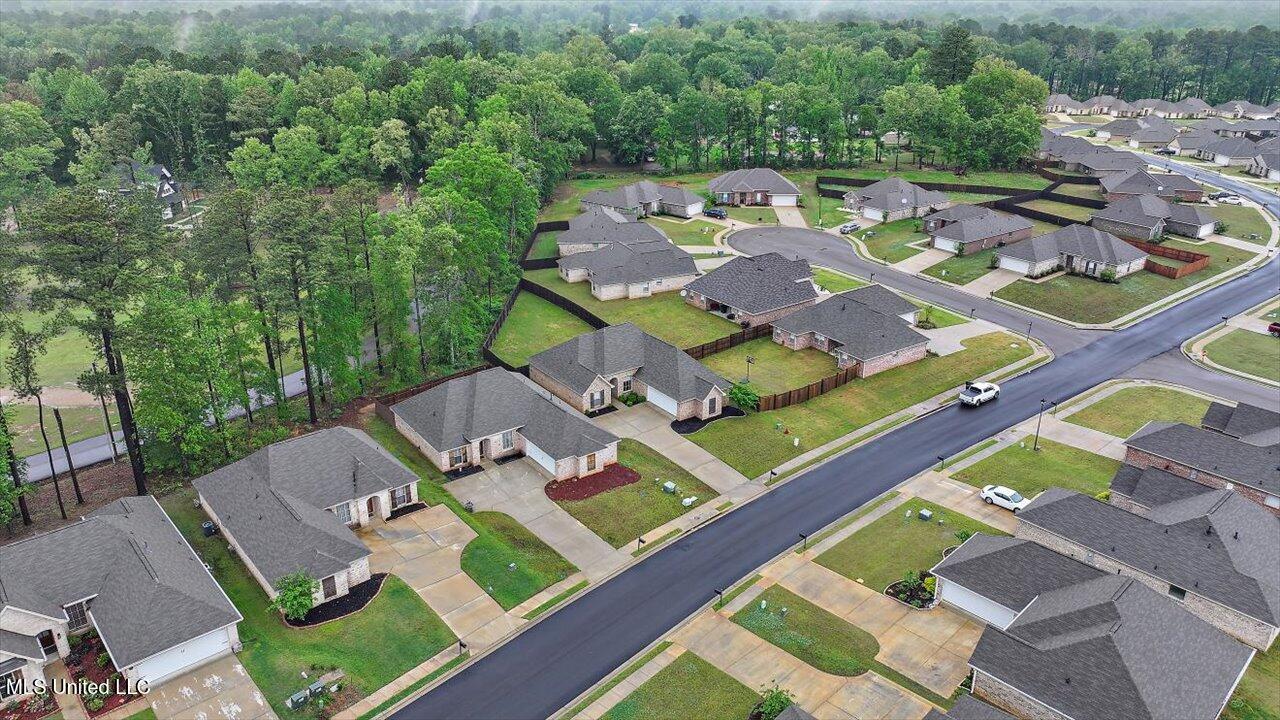 467 Silver Hill, Pearl, Mississippi image 38