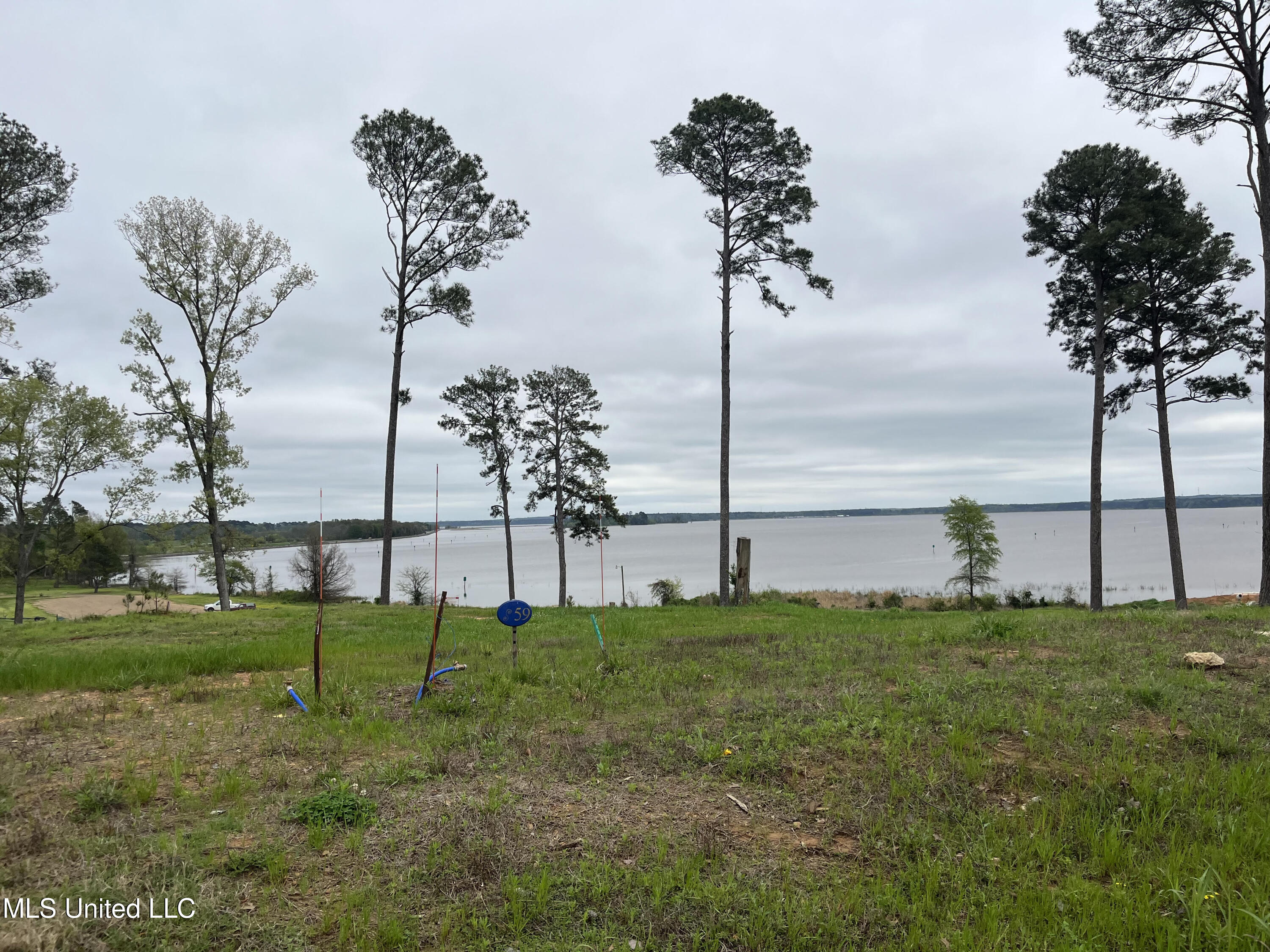 118 Calliope Park, Canton, Mississippi image 1