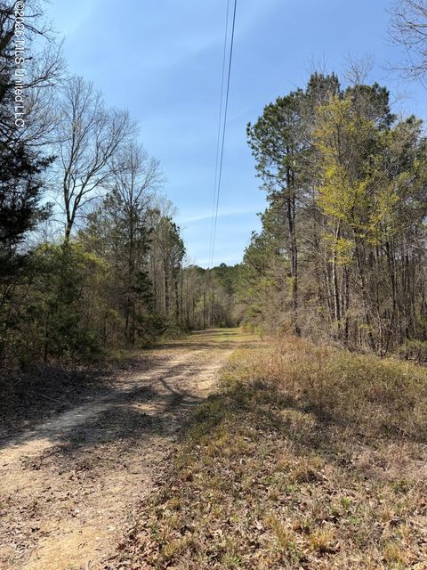Vacant Land For Sale - 285 Mount Horeb Road<br/> Lauderdale County, Meridian, MS 39301