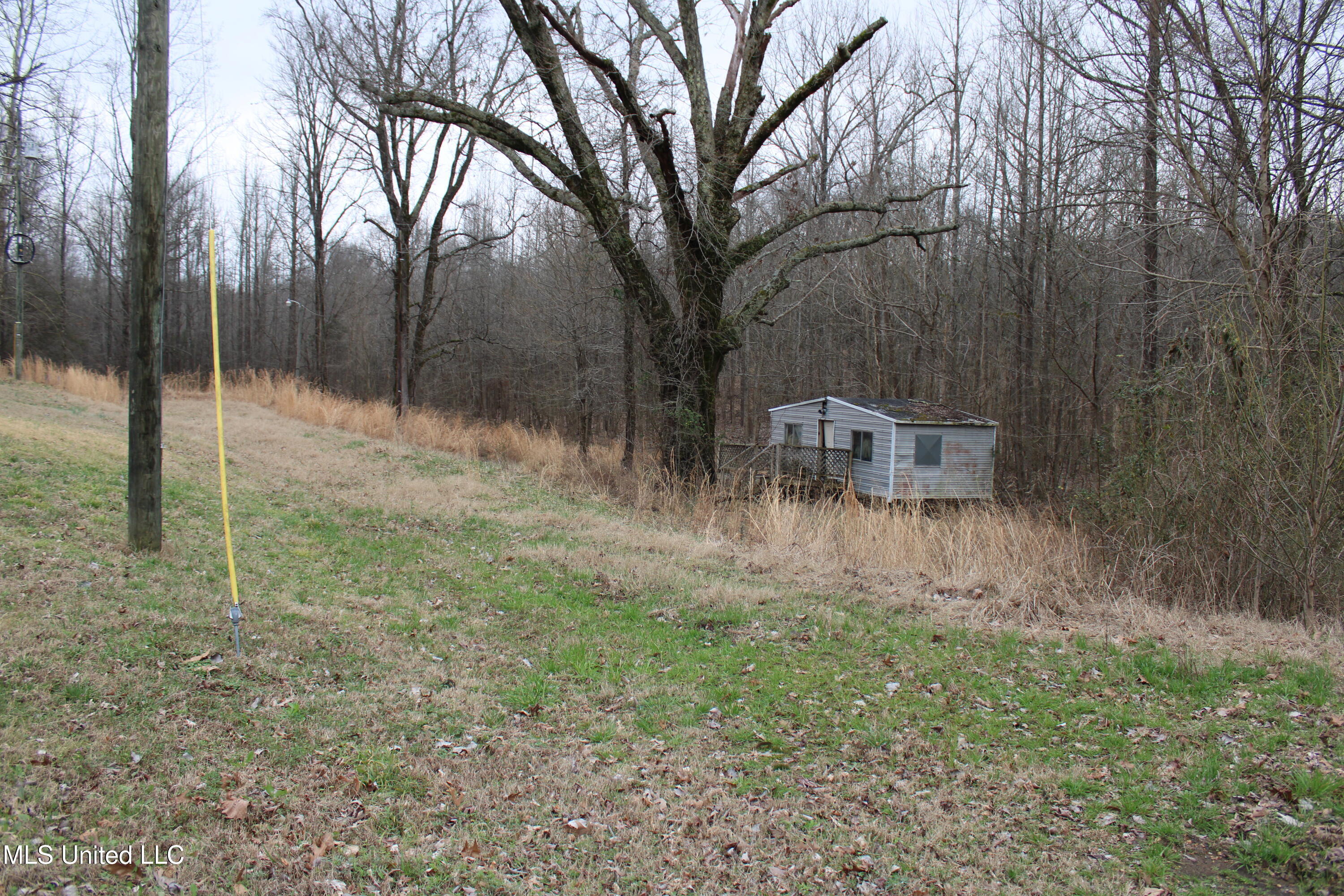 2843 Prichard Road, Coldwater, Mississippi image 2