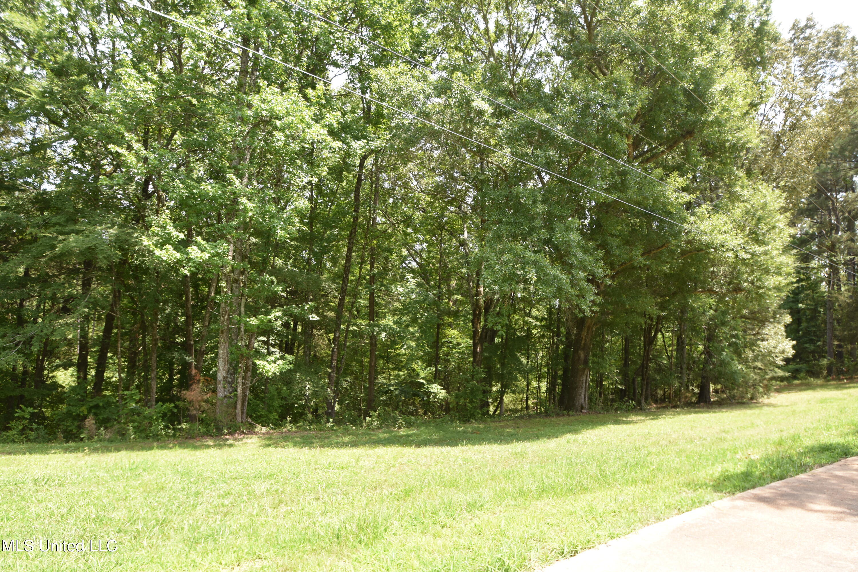 4463 County Road 72, Carrollton, Mississippi image 33