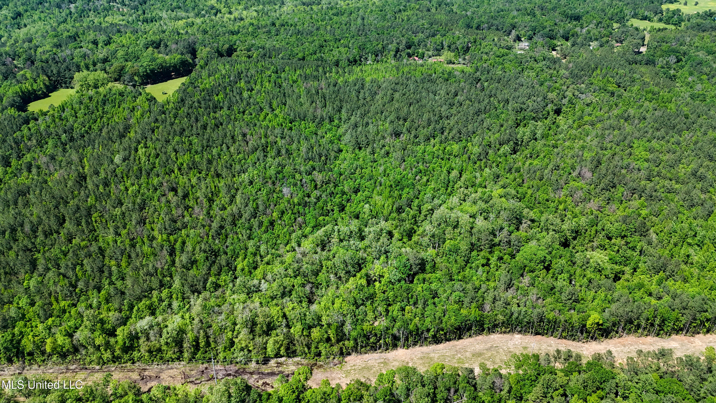 242 Dan George Rd Road, Mendenhall, Mississippi image 17