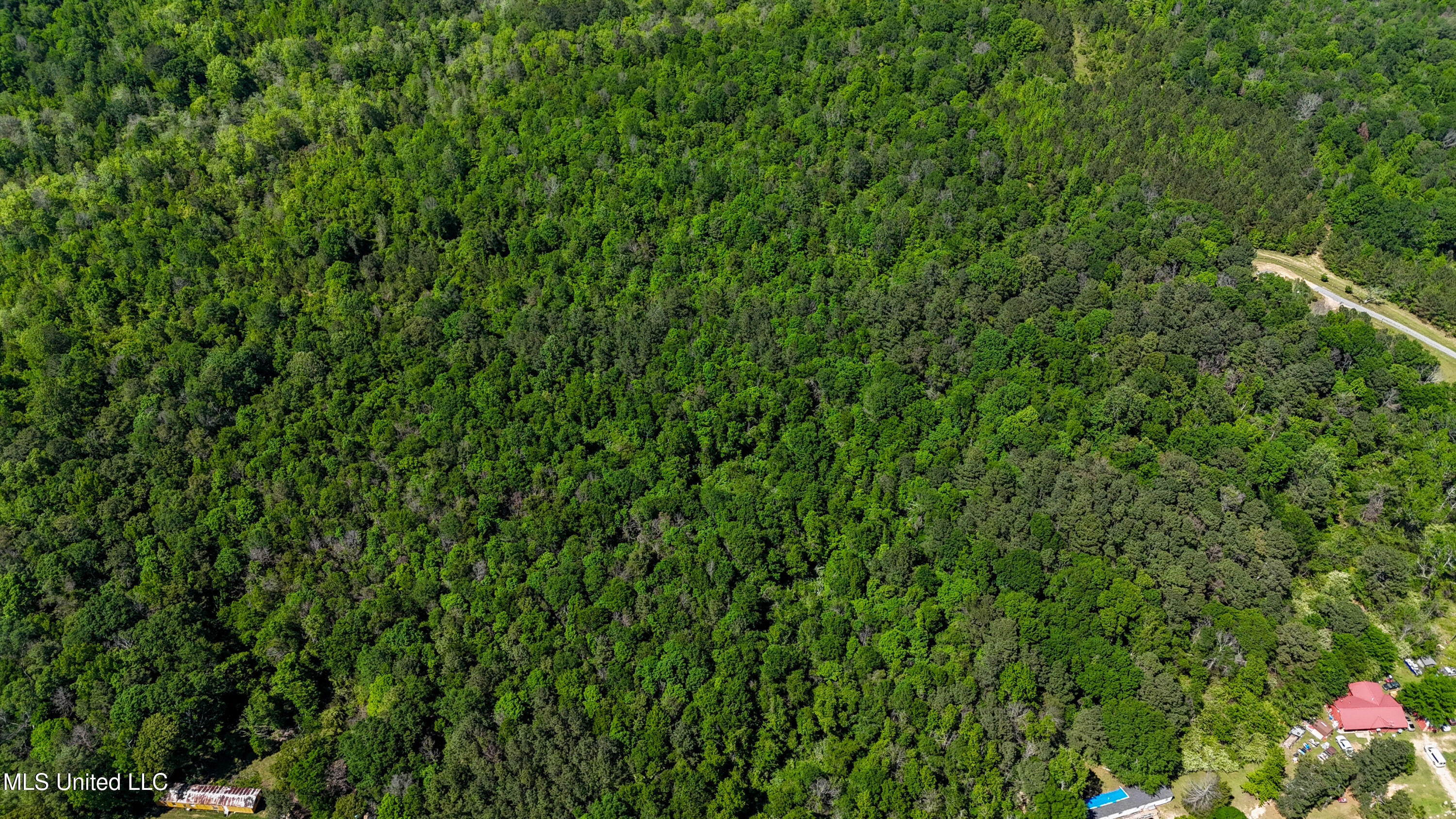 242 Dan George Rd Road, Mendenhall, Mississippi image 3