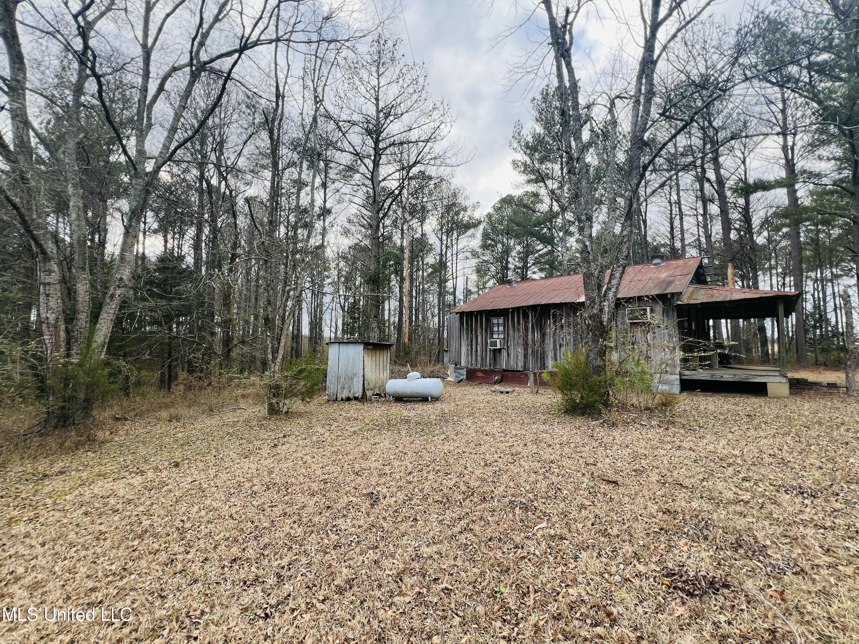 1842 Crawford Circle, Lena, Mississippi image 8