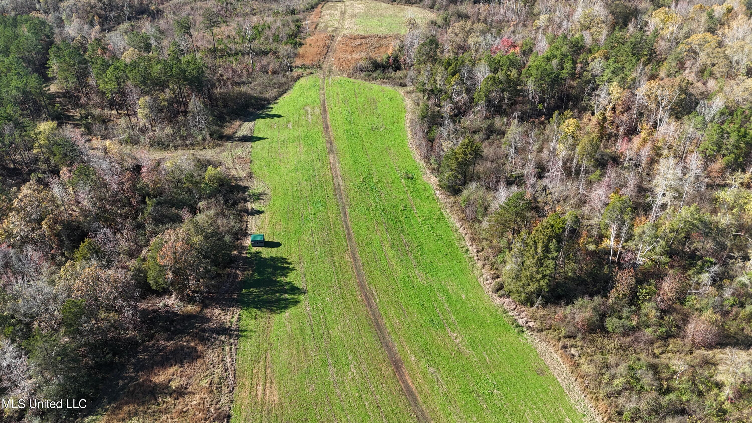 Higdon Road, Holly Springs, Mississippi image 7