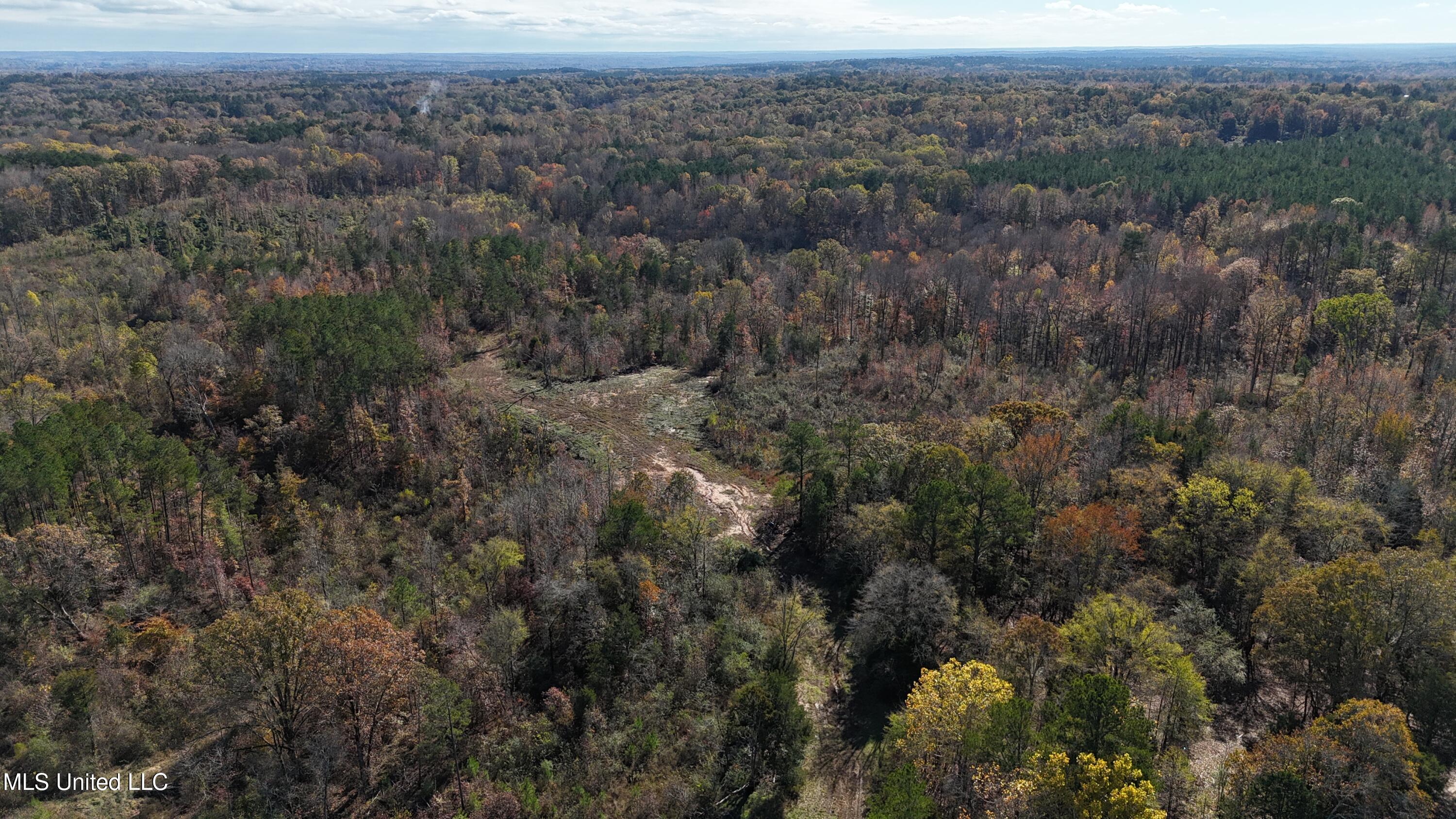 Higdon Road, Holly Springs, Mississippi image 23