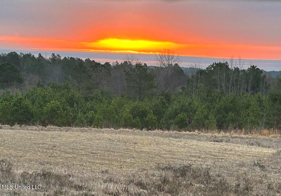 Higdon Road, Holly Springs, Mississippi image 12