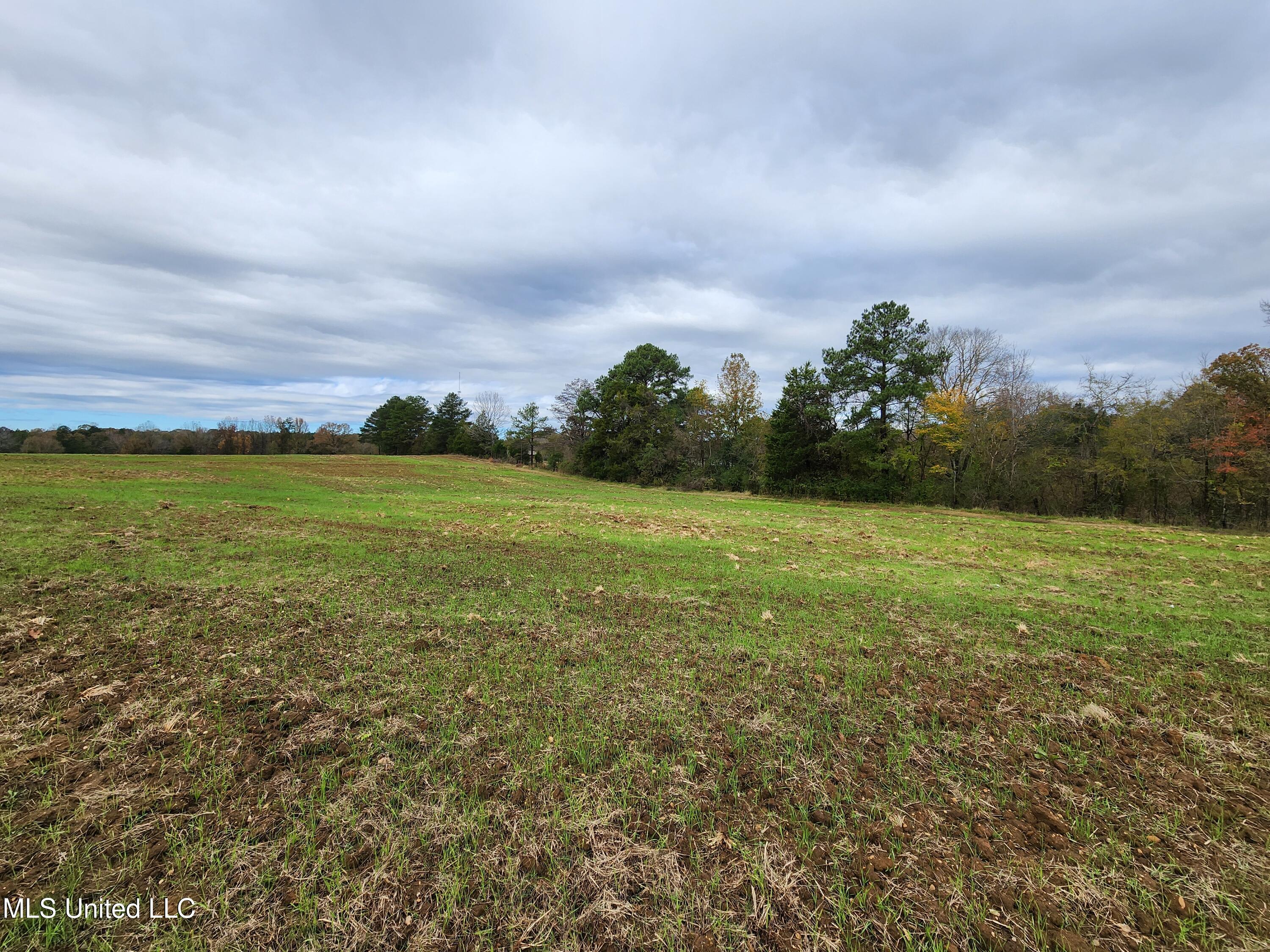 Higdon Road, Holly Springs, Mississippi image 11