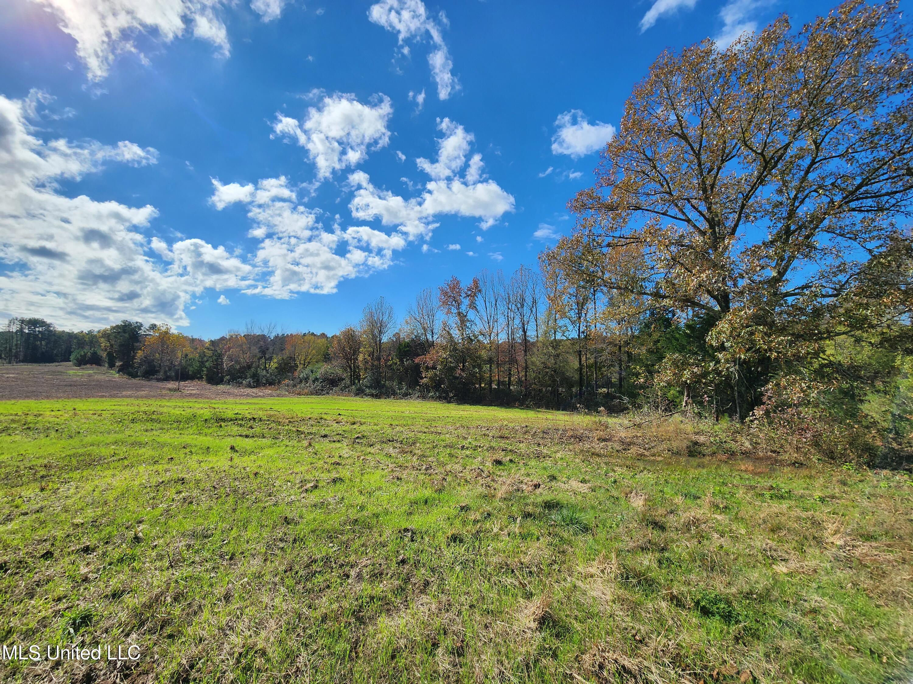 Higdon Road, Holly Springs, Mississippi image 9