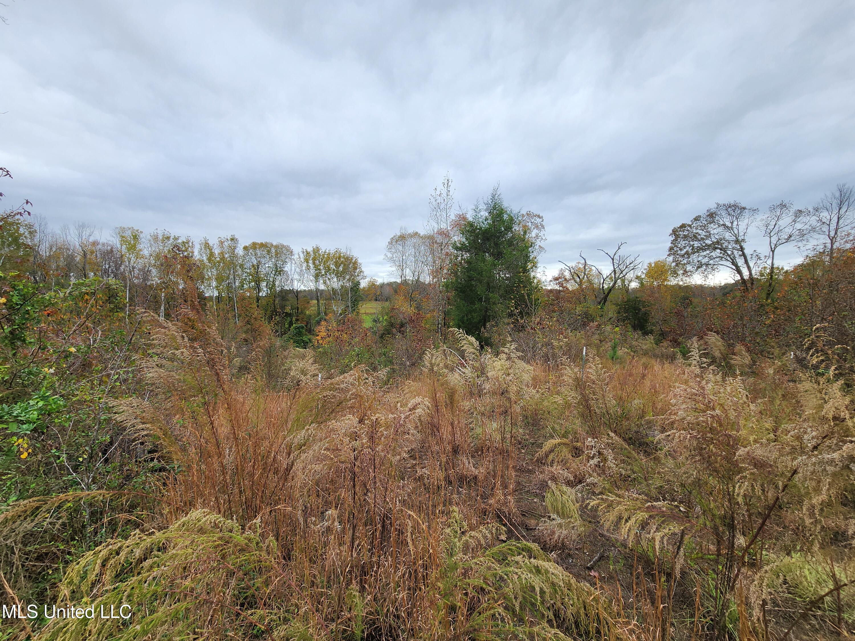 Higdon Road, Holly Springs, Mississippi image 21