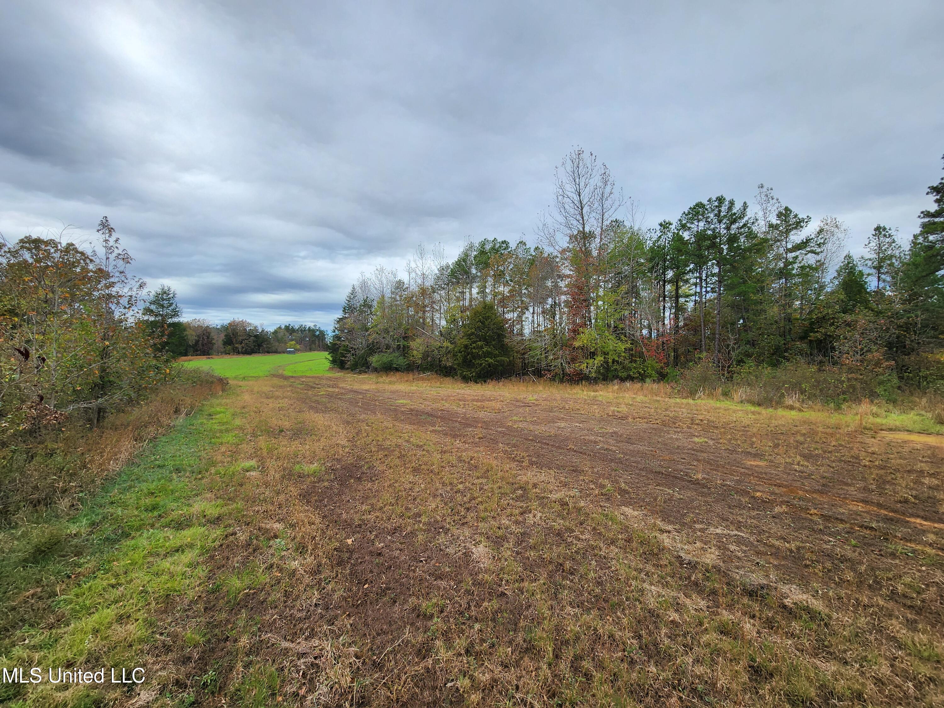 Higdon Road, Holly Springs, Mississippi image 5