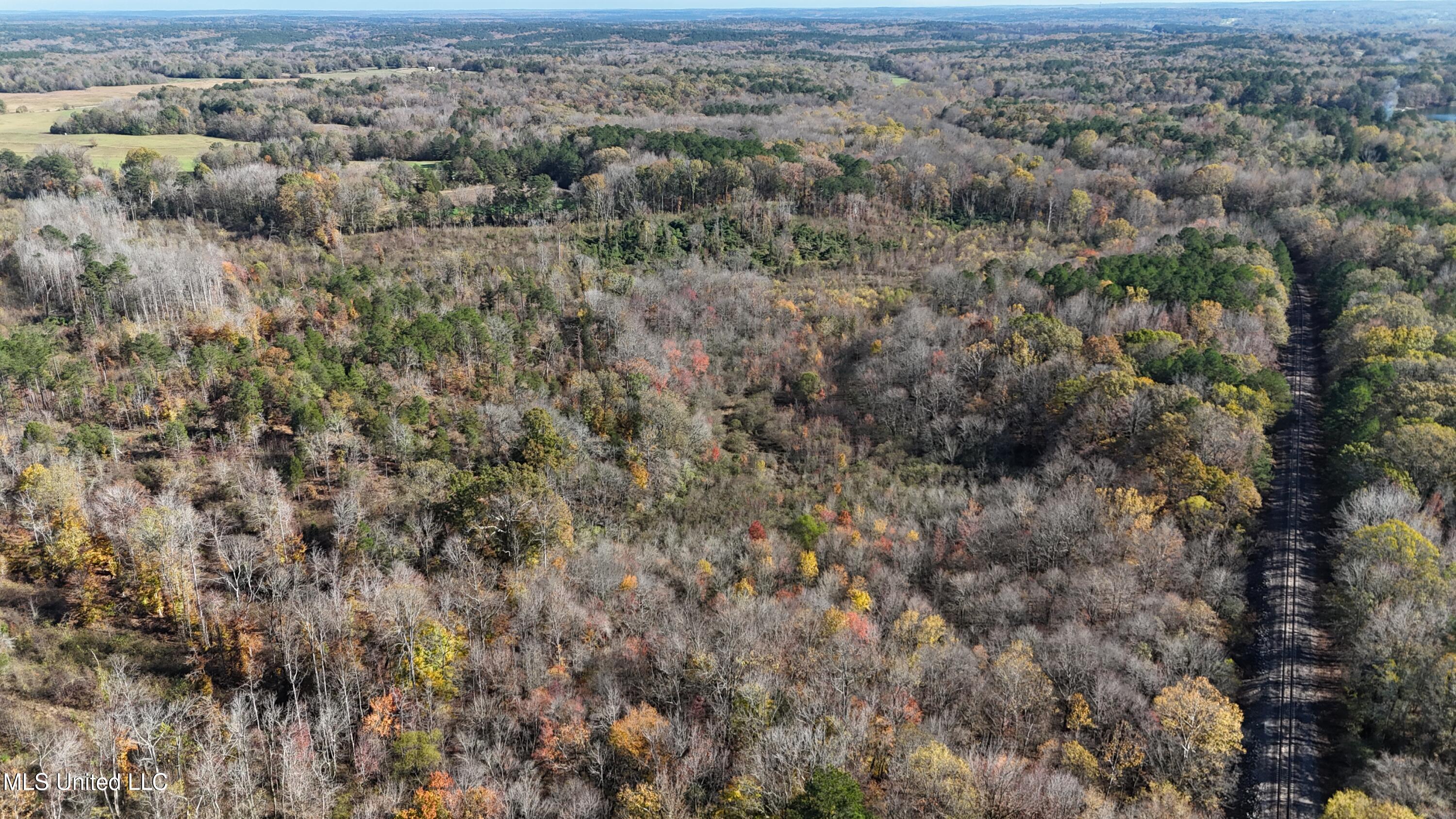 Higdon Road, Holly Springs, Mississippi image 27