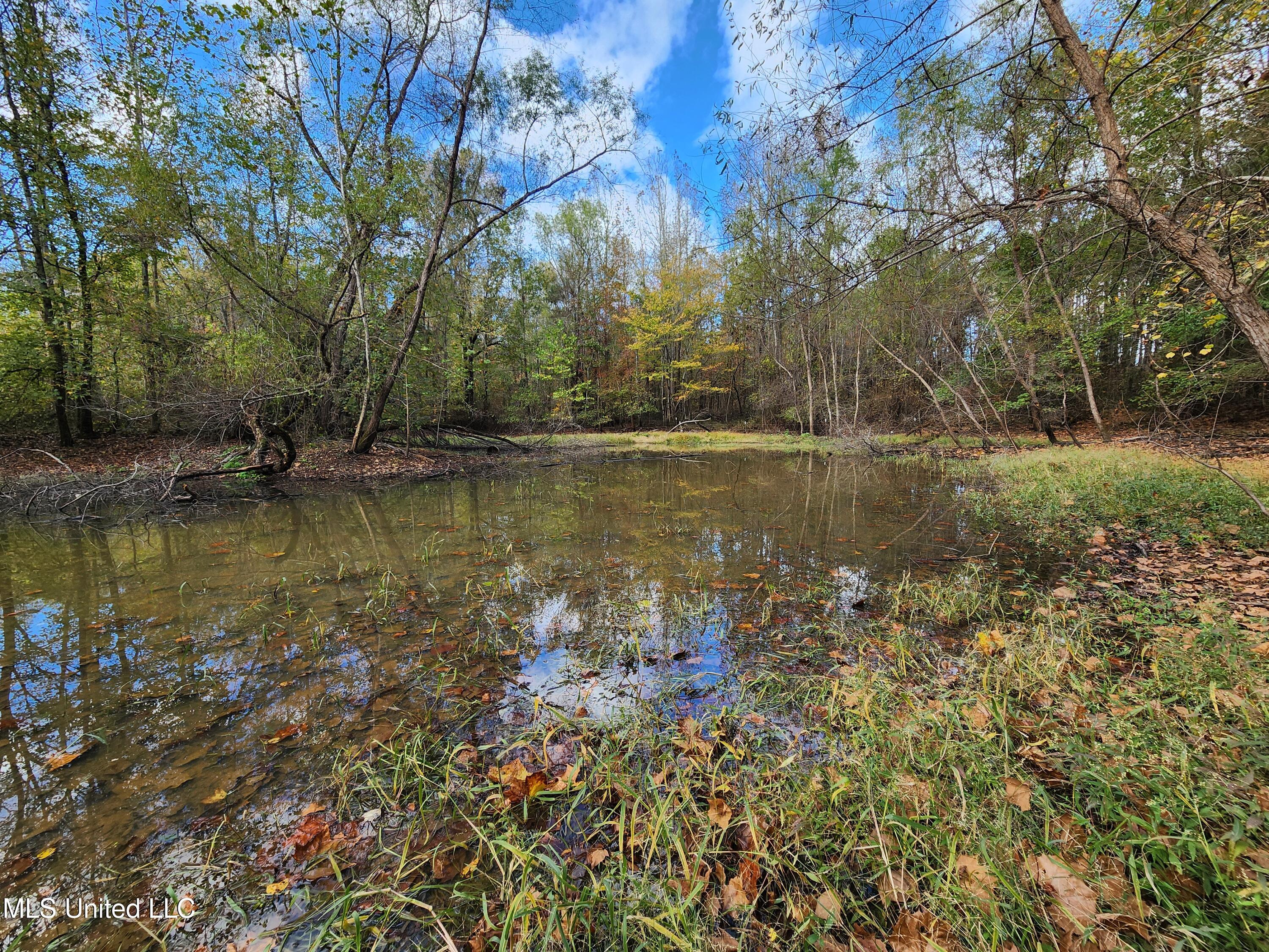 Higdon Road, Holly Springs, Mississippi image 18