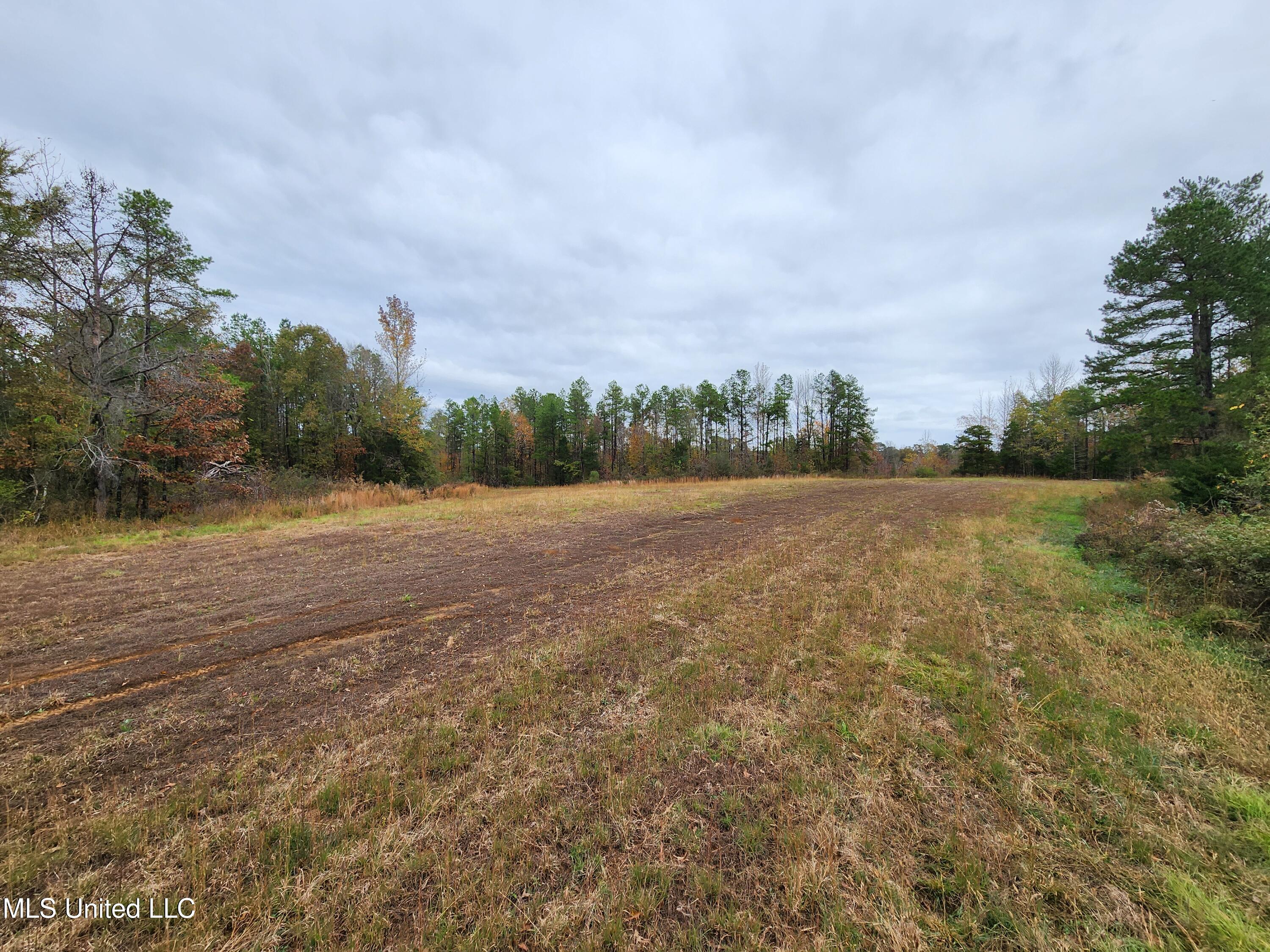 Higdon Road, Holly Springs, Mississippi image 10