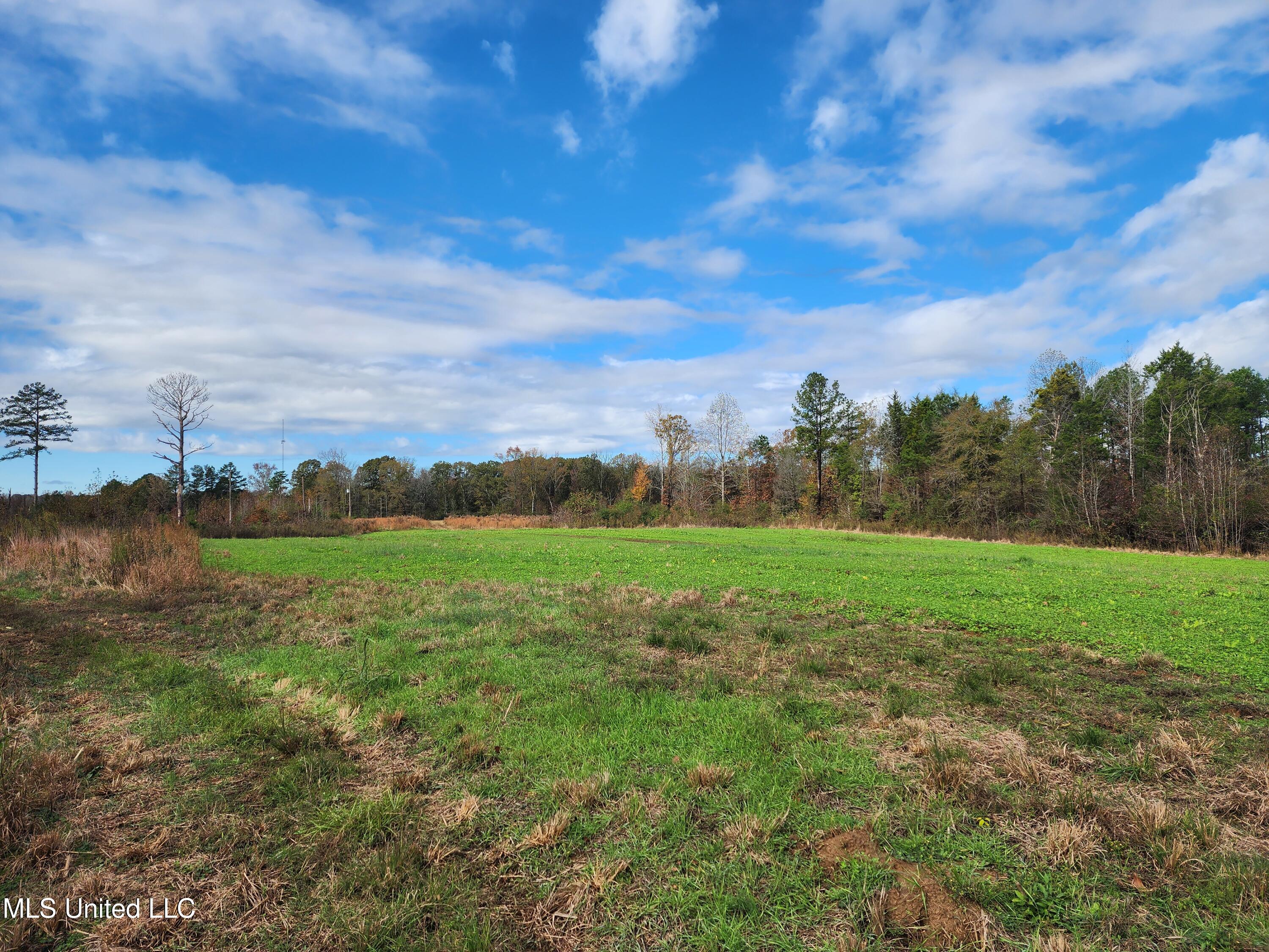 Higdon Road, Holly Springs, Mississippi image 4