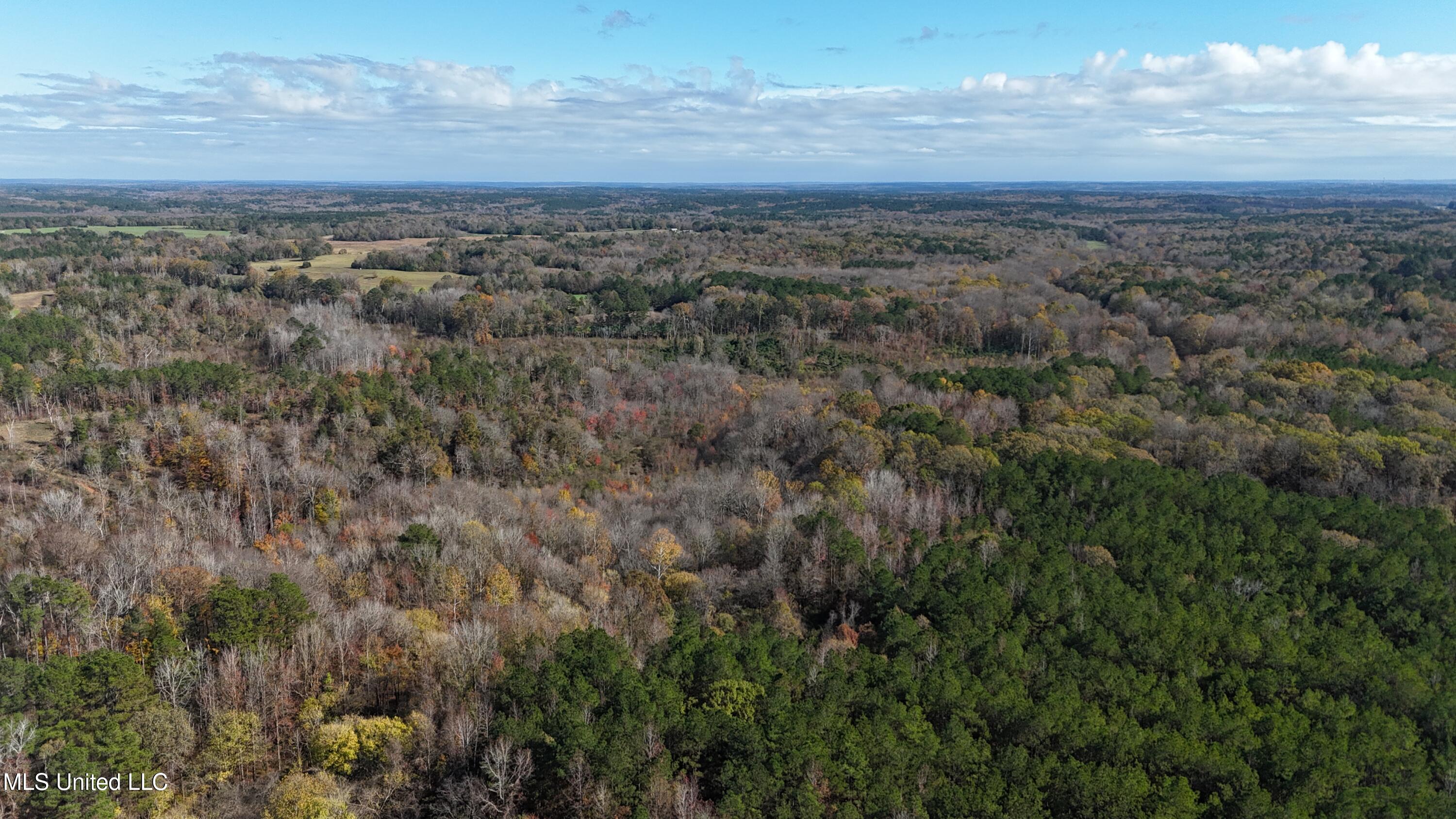 Higdon Road, Holly Springs, Mississippi image 26