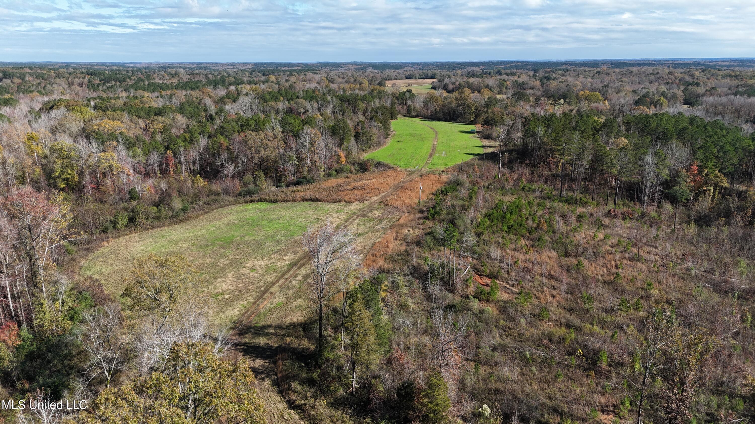 Higdon Road, Holly Springs, Mississippi image 24