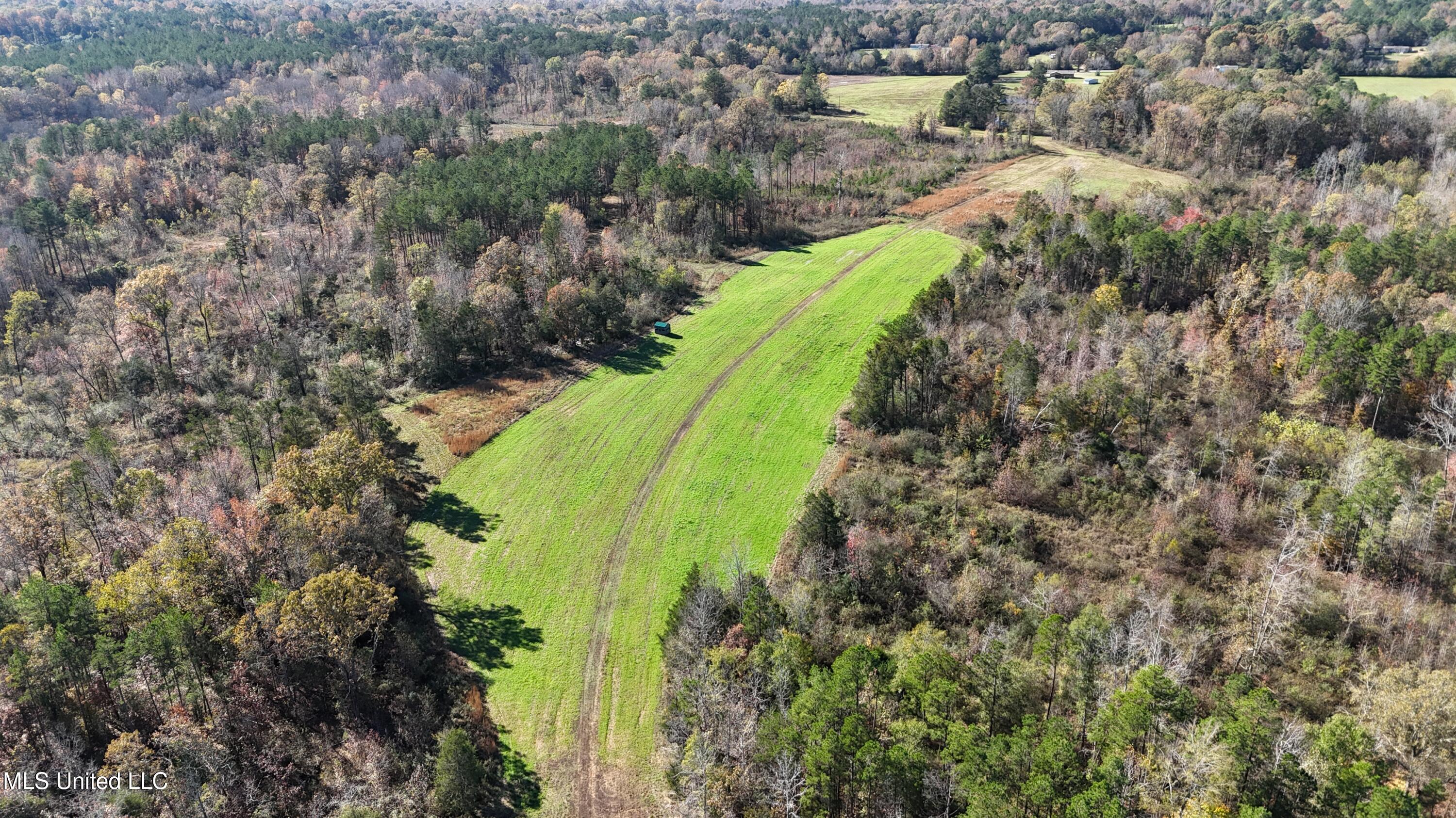 Higdon Road, Holly Springs, Mississippi image 2