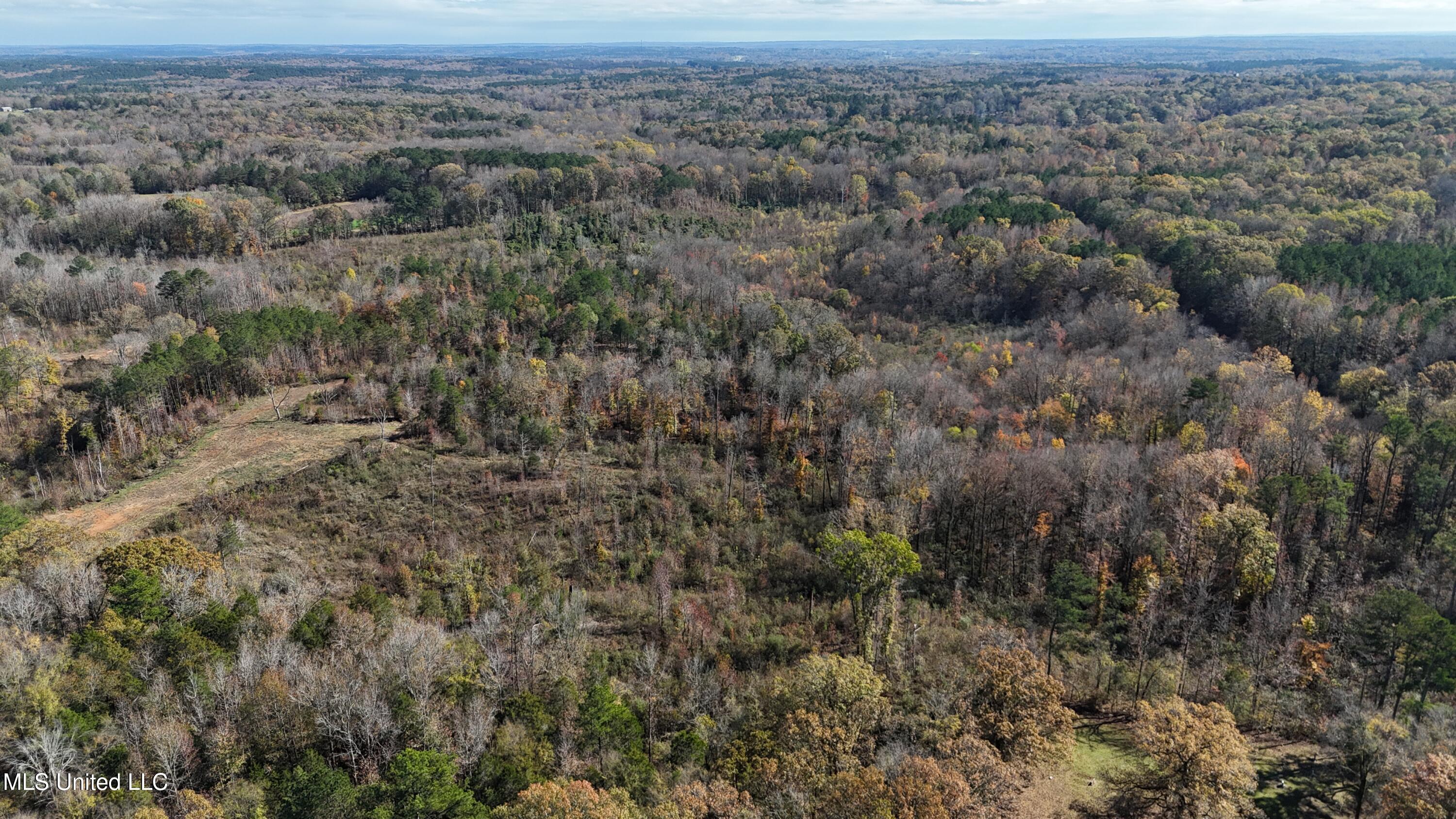 Higdon Road, Holly Springs, Mississippi image 25