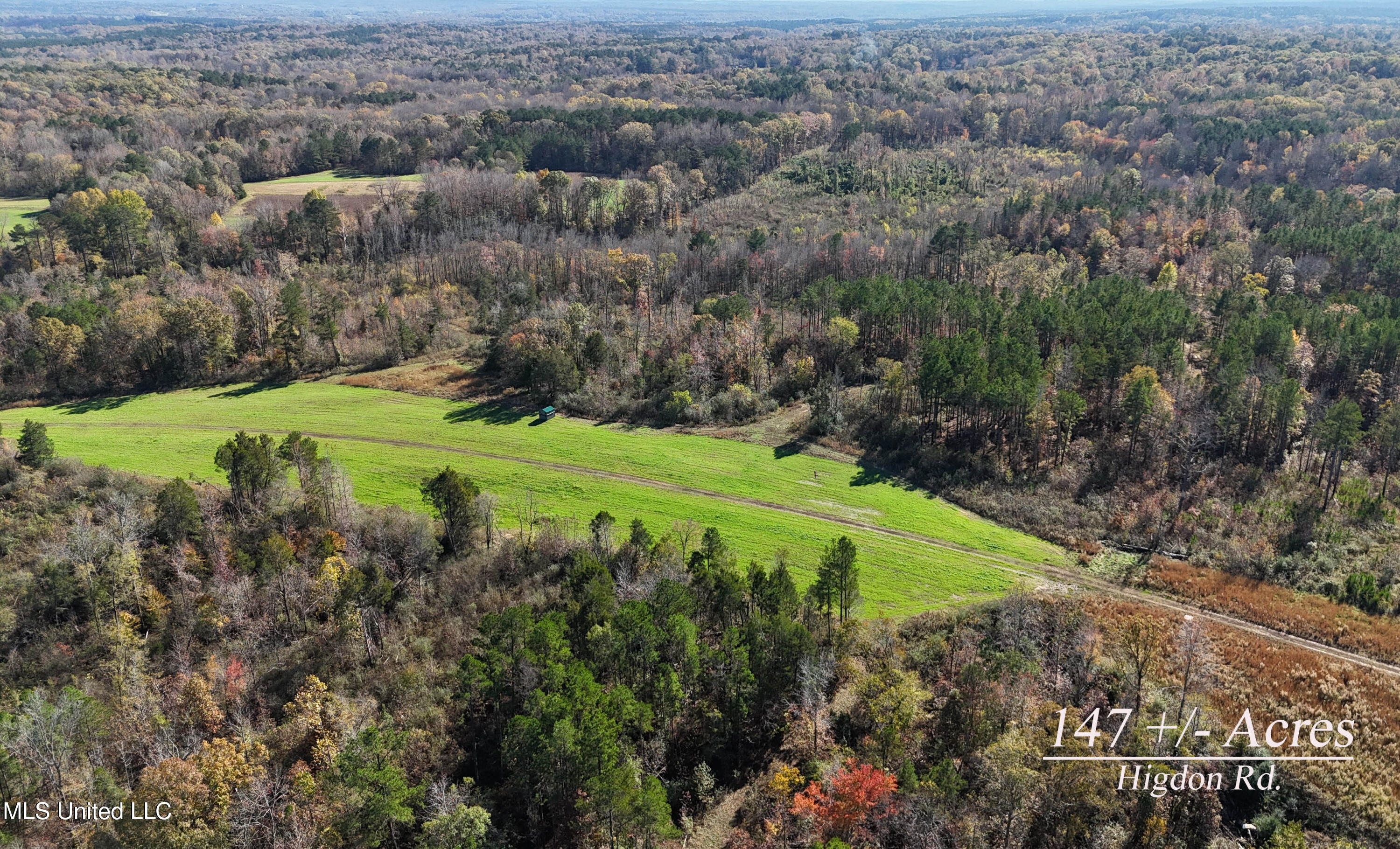 Higdon Road, Holly Springs, Mississippi image 1