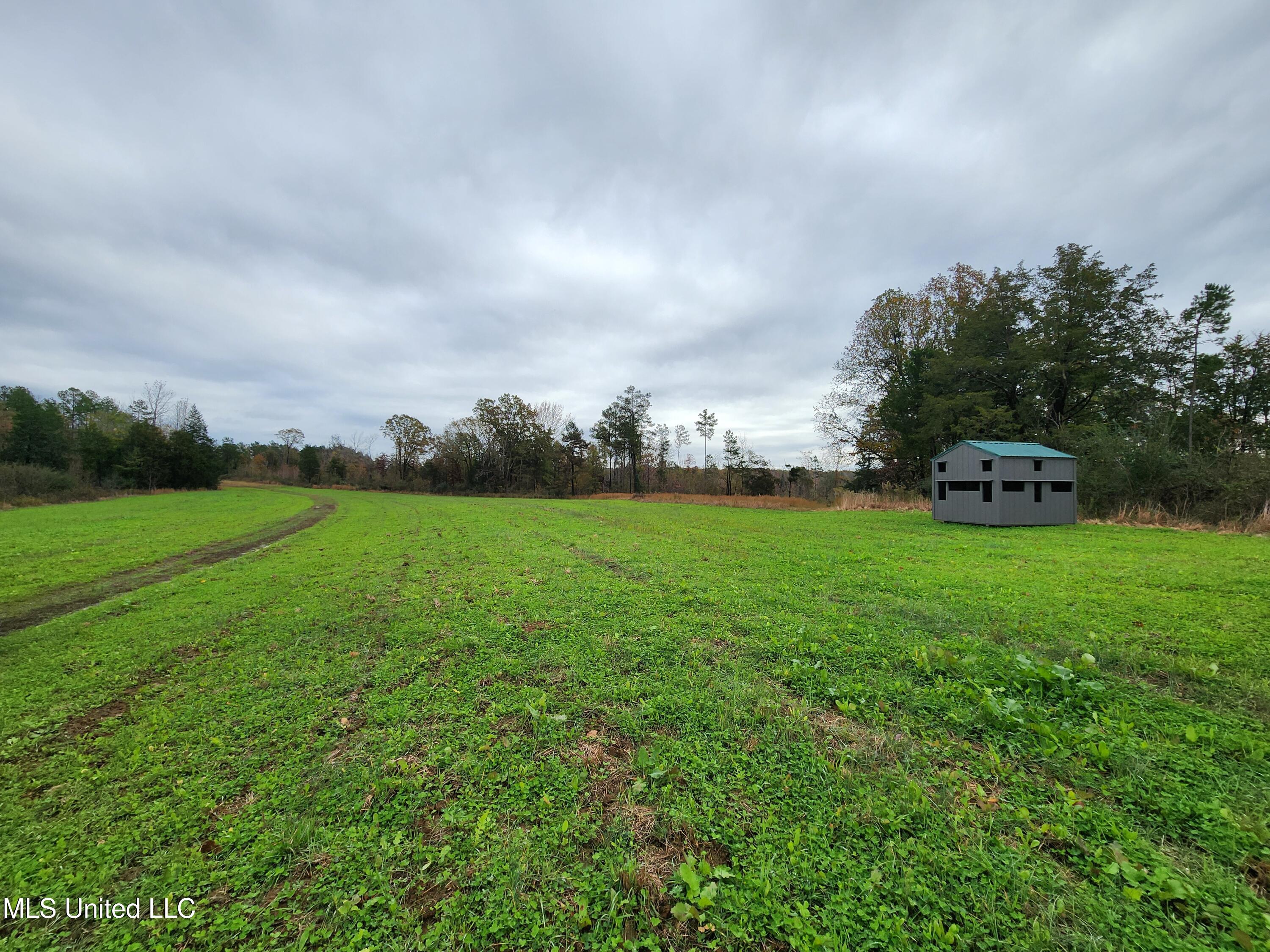 Higdon Road, Holly Springs, Mississippi image 3