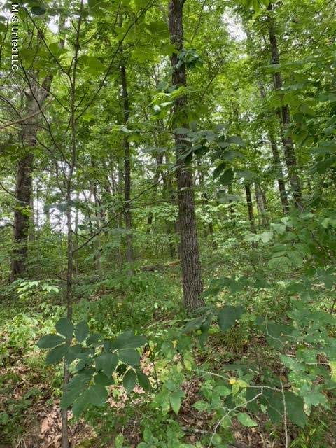 Vacant Land For Sale - 8722 Bob White Drive<br/> Hernando, MS 38632
