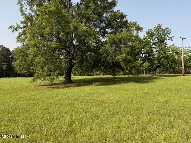 S Flag Chapel Road, Jackson, Mississippi image 1