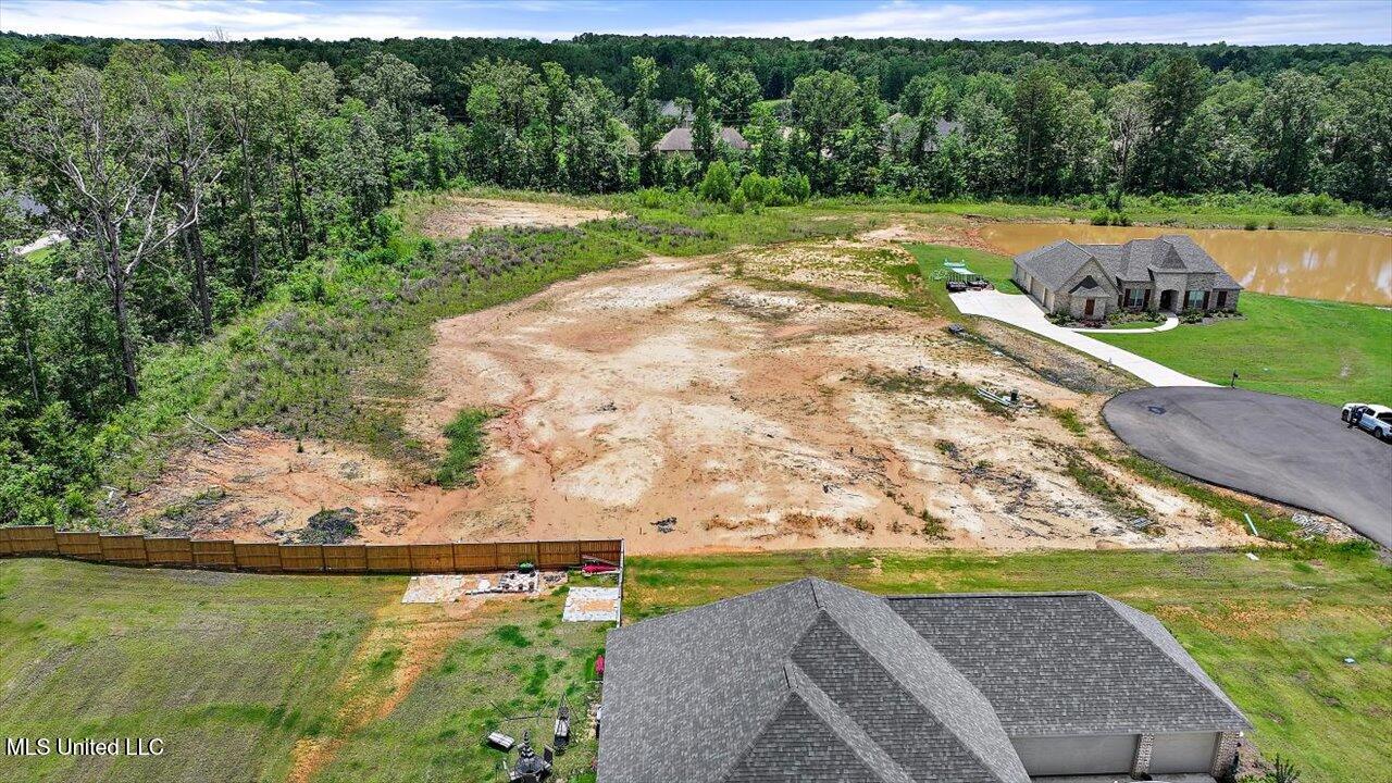 141 Richburg Court, Pearl, Mississippi image 22